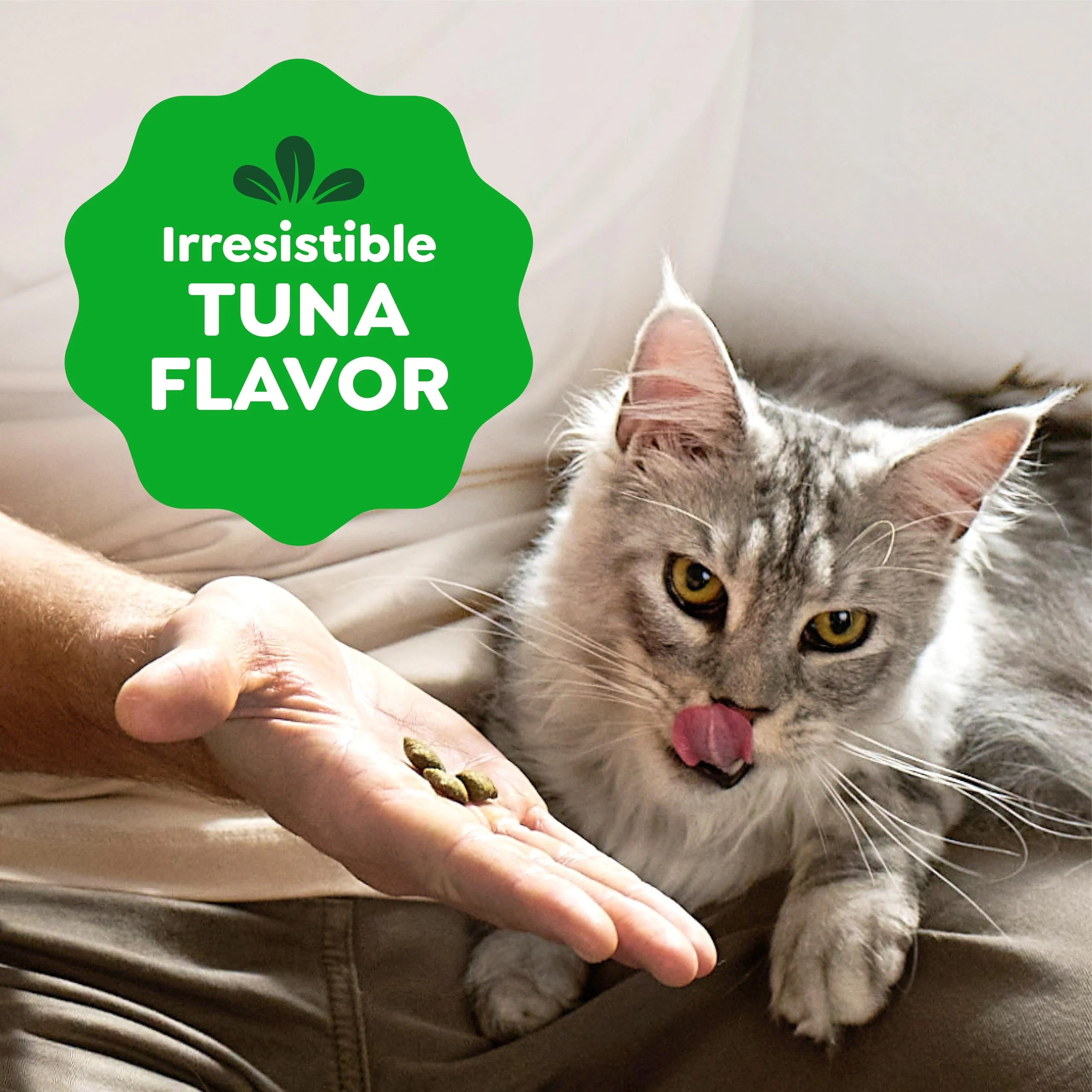 Greenies Feline Smartbites, Cat Treats Healthy Recipe, Indoor Cat Treats, Tuna Flavor, 4.6 oz. Pack - Image 5