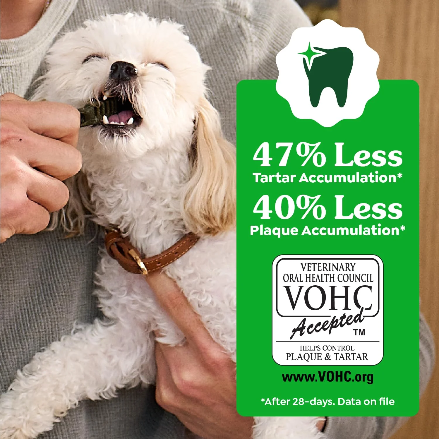Greenies Veterinarian-Recommended Adult Natural Dental Dog Treats Large Size, Weight Management Dog Dental Chews, 27 oz. Pack, 17 Count - Image 6