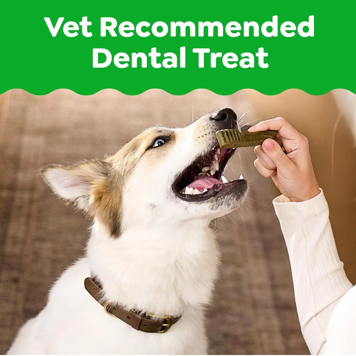Greenies Veterinarian-Recommended Adult Natural Dental Dog Treats Large Size, Weight Management Dog Dental Chews, 27 oz. Pack, 17 Count - Image 9