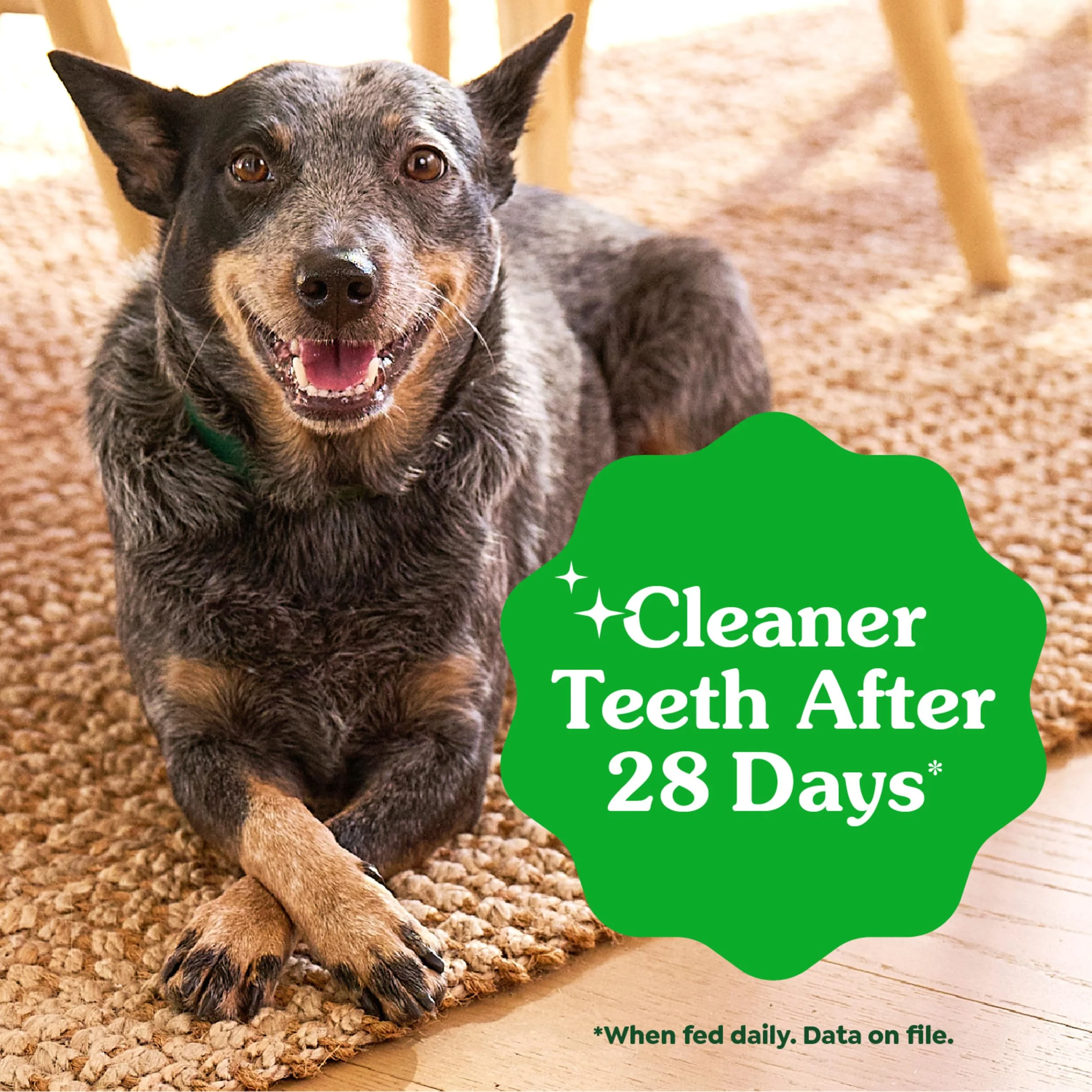 Greenies Veterinarian-Recommended Adult Natural Dental Dog Treats Petite Size, Dog Dental Chews, Original Flavor, 27 oz. Pack, 45 Count - Image 7