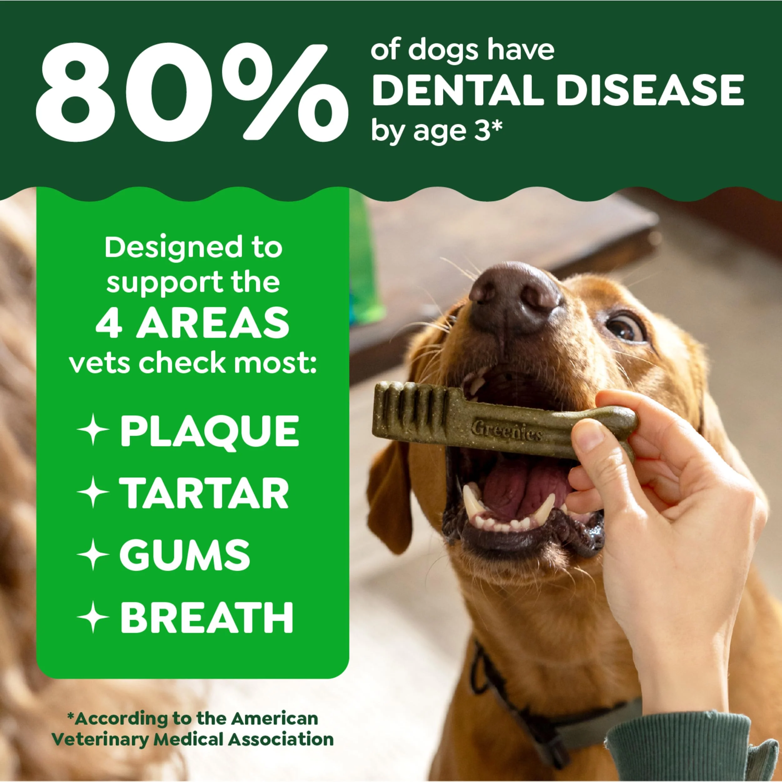 Greenies Veterinarian-Recommended Adult Natural Dental Dog Treats Petite Size, Dog Dental Chews, Original Flavor, 27 oz. Pack, 45 Count - Image 8
