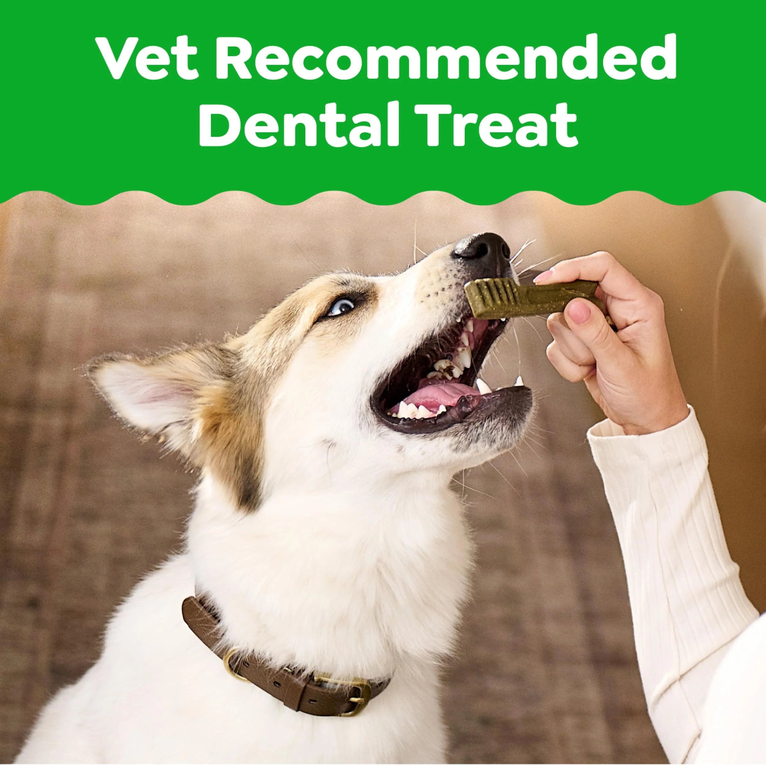 Greenies Veterinarian-Recommended Adult Natural Dental Dog Treats Petite Size, Dog Dental Chews, Original Flavor, 27 oz. Pack, 45 Count - Image 9