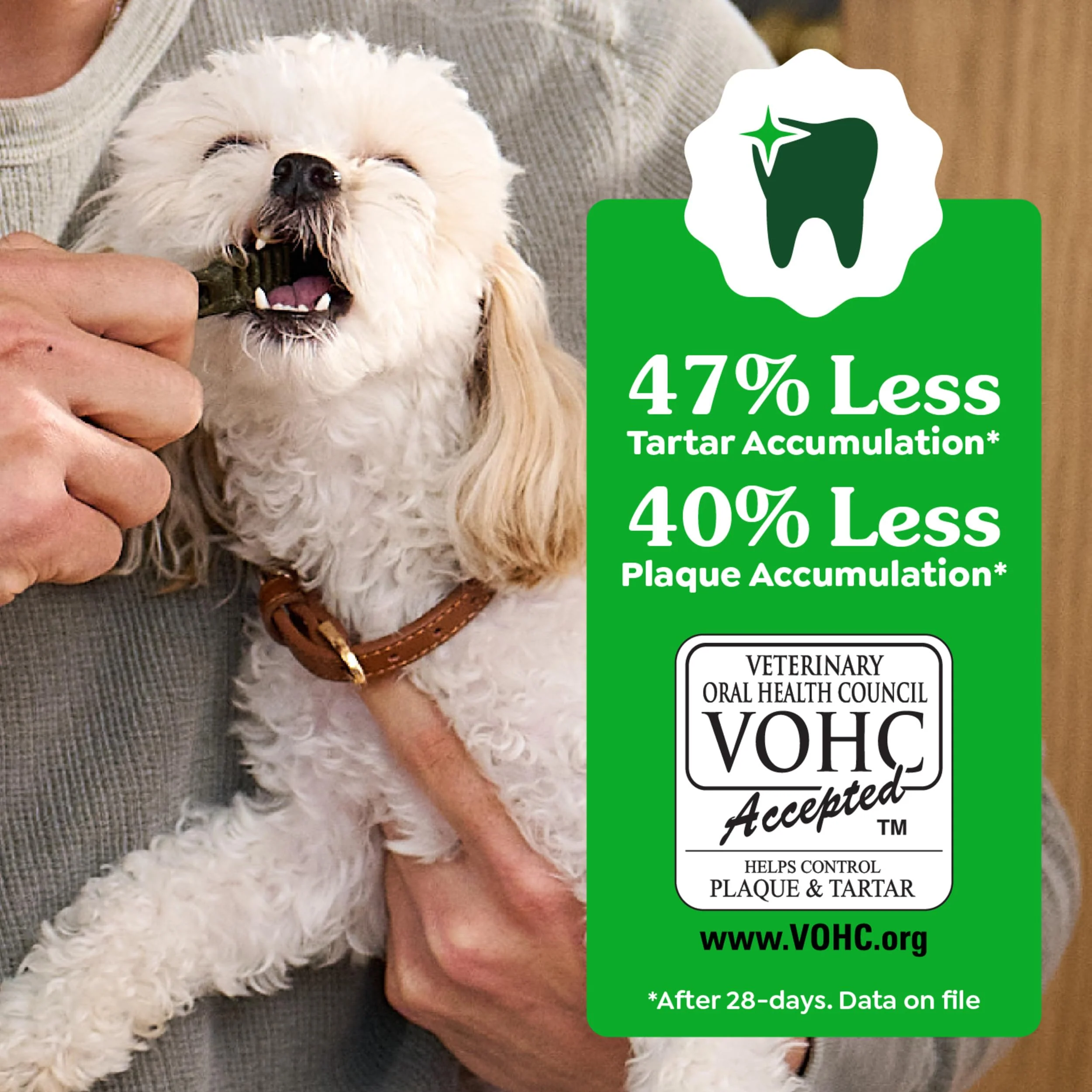 Greenies Veterinarian-Recommended Adult Natural Dental Dog Treats Petite Size, Dog Dental Chews, Original Flavor, 6 oz. Pack, 10 Count - Image 6