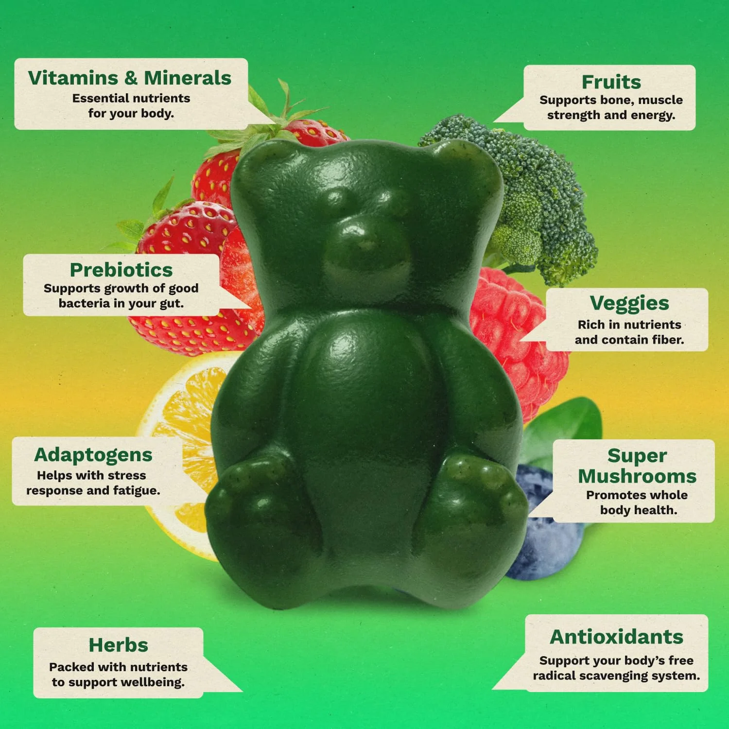 Gruns Adult Super Greens Multivitamin Gummies, Superfood Gummy Vitamins for Women and Men with Spirulina, Chlorella, Adaptogens & Prebiotic Fiber for Digestive Health (28 Count) - Image 5
