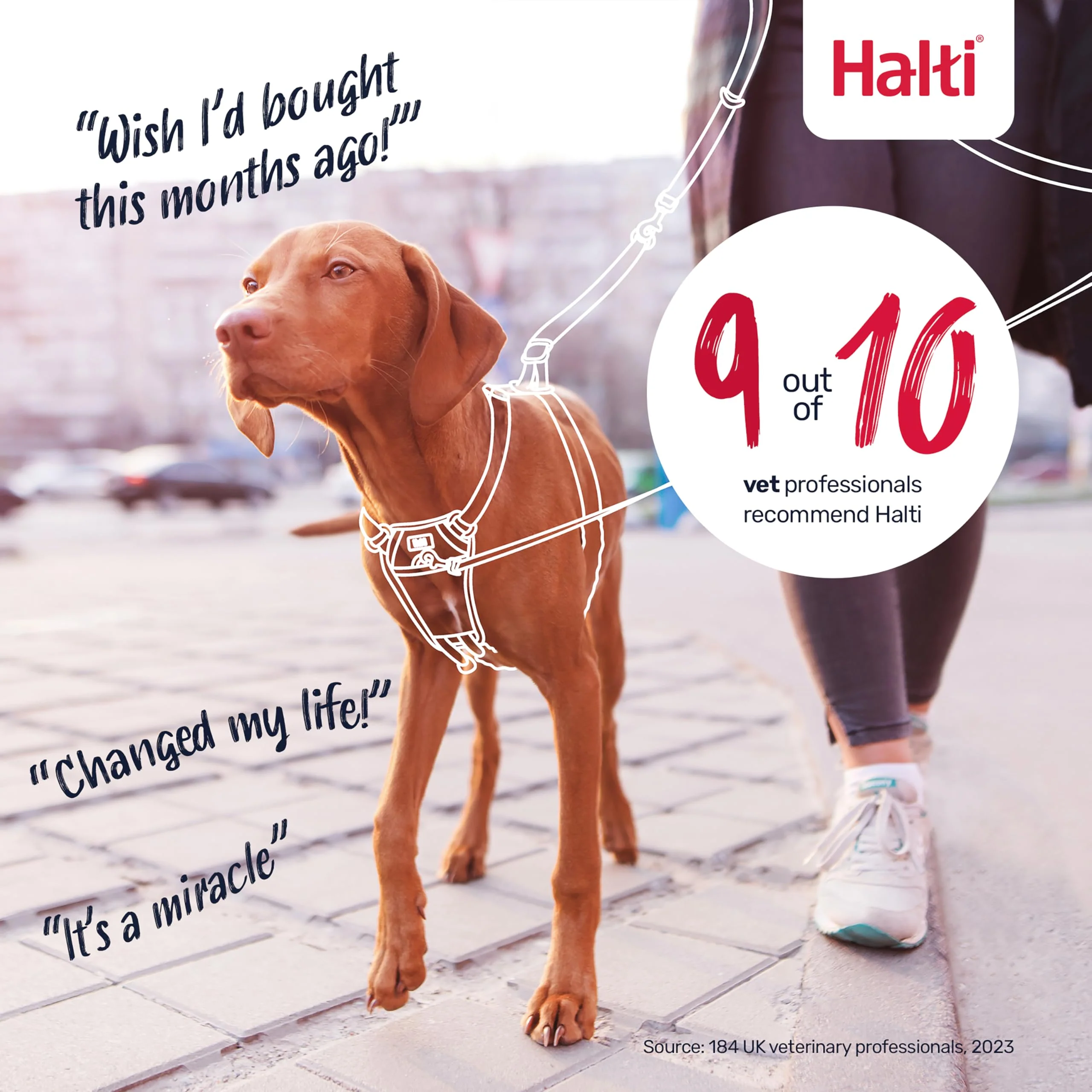 Halti No Pull Harness - Stop Your Dog Pulling on the Leash. Adjustable, Lightweight and Easy to Use. Reflective Dog Training Harness for Medium Dogs (Size M, Black) - Image 2