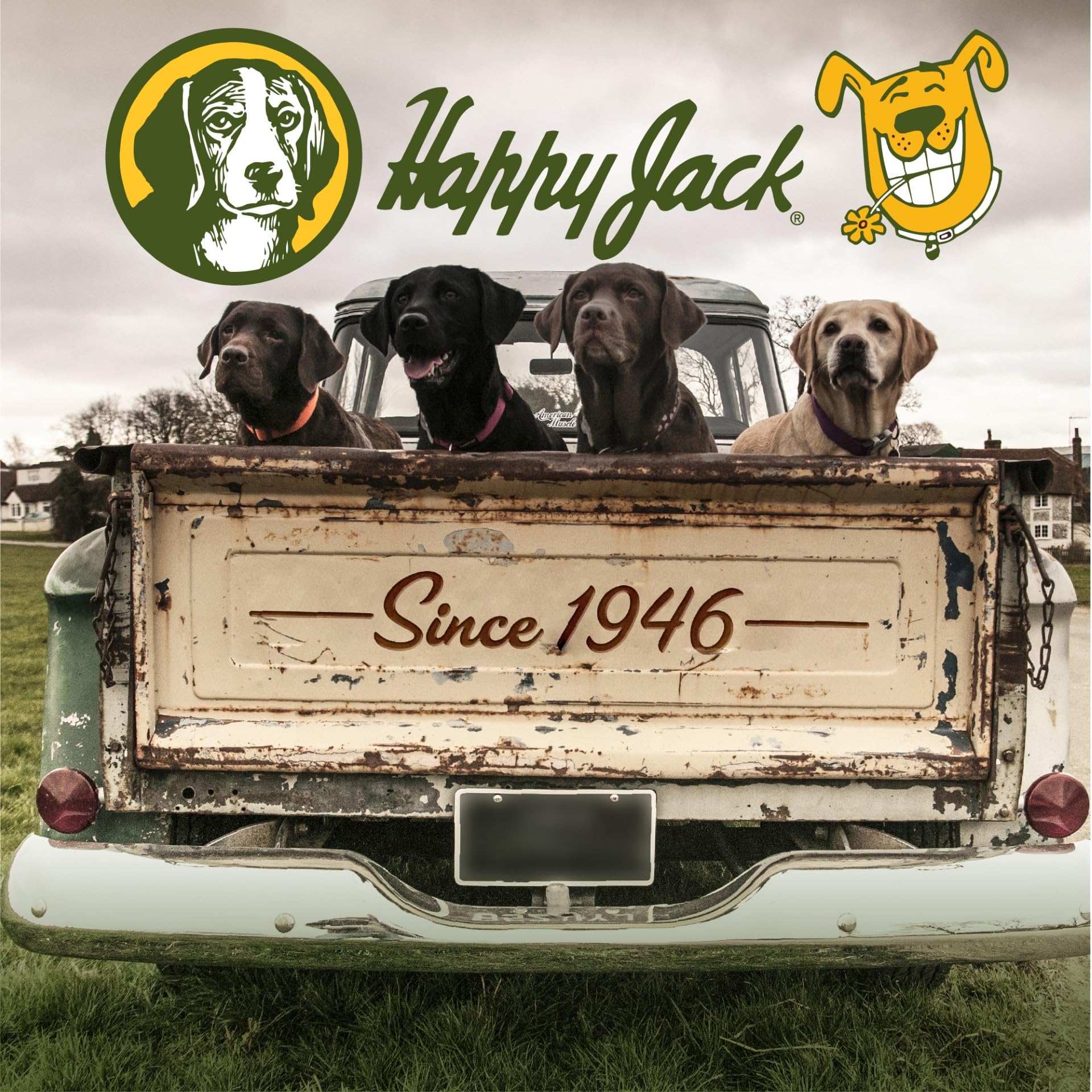 Happy Jack DD-33 (EPARN 2781-41) Flea and Tick Spray for Dog and Cat, Flea Treatment & Control, Water-Based Formula Kills Fleas & Ticks Effectively Yet Gentle on Skin & Hair, 16 oz - Image 2