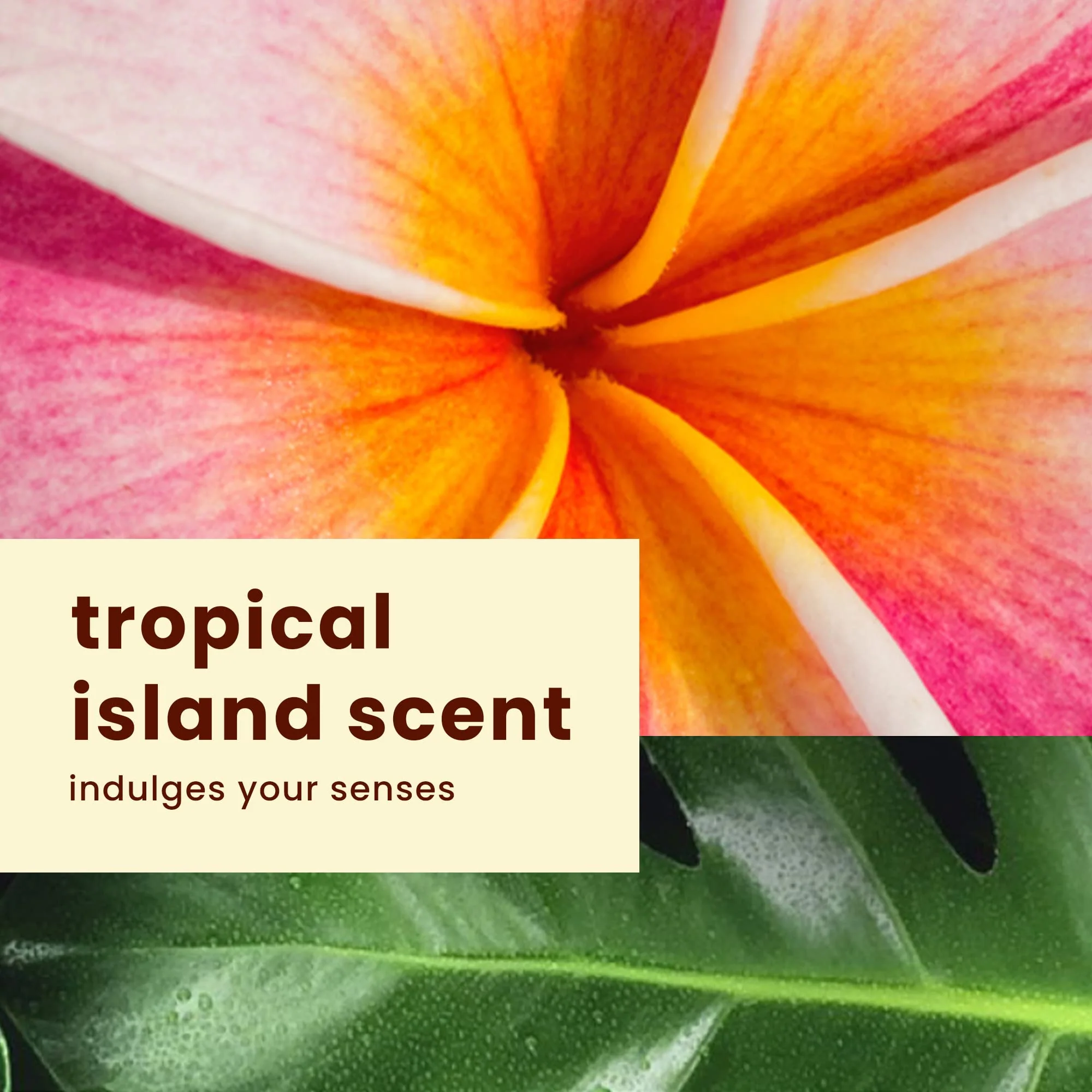 Hawaiian Tropic Everyday Active Lotion Sunscreen SPF 30, 8Fl Oz Twin Pack, Hawaiian Tropic Sunscreen SPF 30, Sunblock, Oxybenzone Free Sunscreen, Broad Spectrum Sunscreen Pack, 8Fl Oz each - Image 3