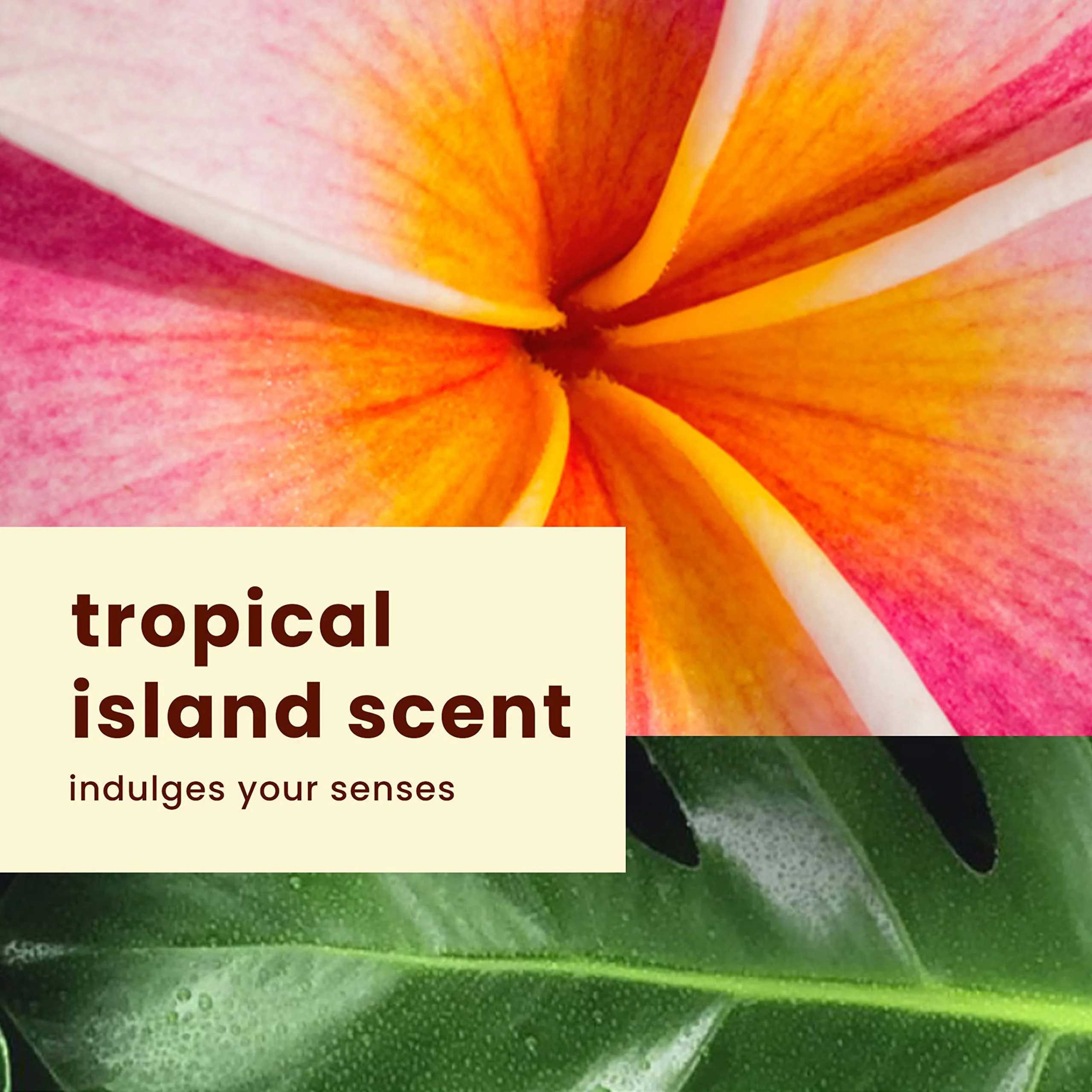 Hawaiian Tropic Sunscreen Silk Hydration Moisturizing Broad Spectrum Sun Care Sunscreen Spray - SPF 15, 6 Ounce - Image 6