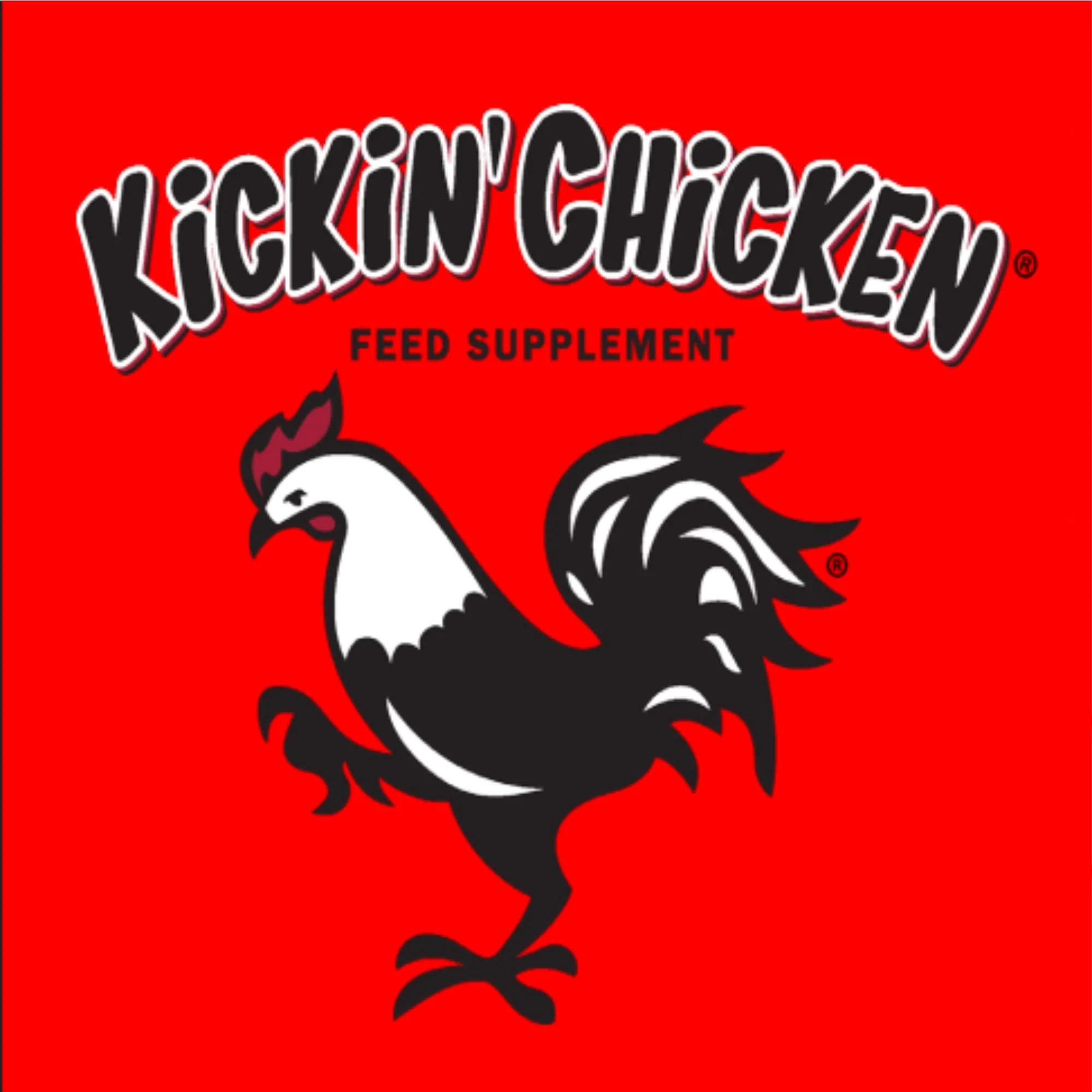 Healthy Coat Kickin Chicken Feed Supplement, Quart, for Better Plumage, Eggs, Immune System, and Attitude - Image 3