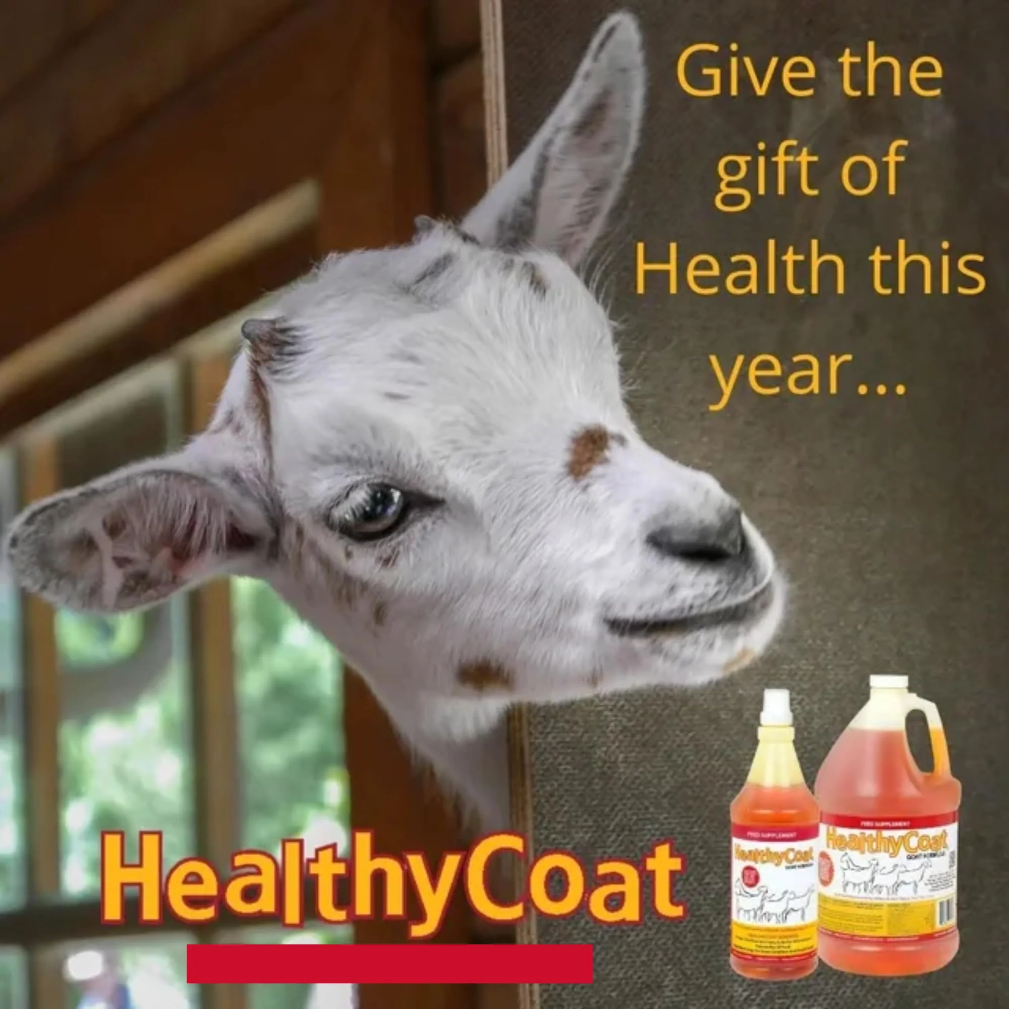 HealthyCoat Goat Formula Supplement: Gallon. Skin, Coat, Body Condition, Allergies, Immune System, Milk Production - Image 5