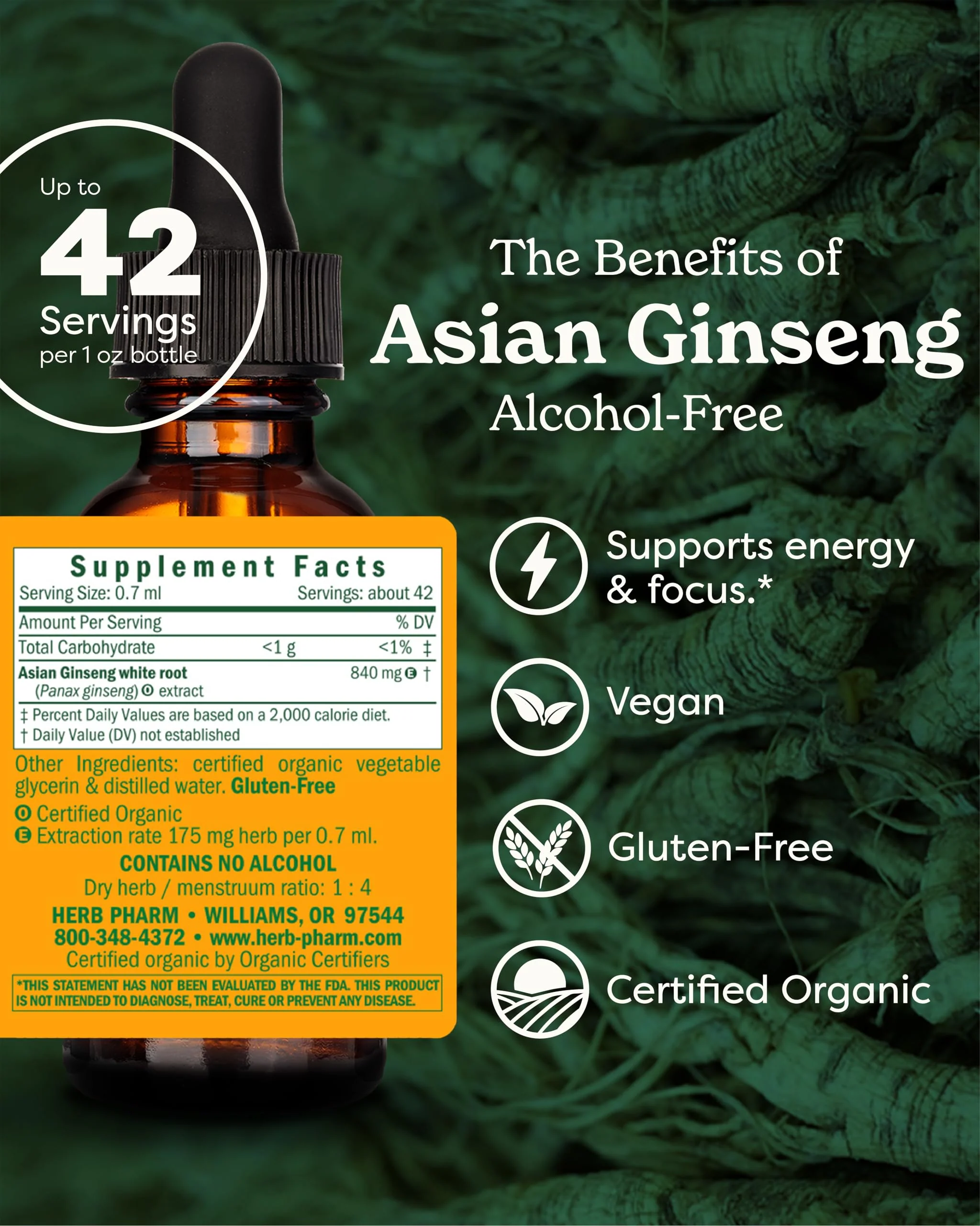Herb Pharm Asian (Panax) Ginseng Liquid Glycerite for Energy and Stamina, Alcohol-Free Glycerite, 1 Oz - Image 6
