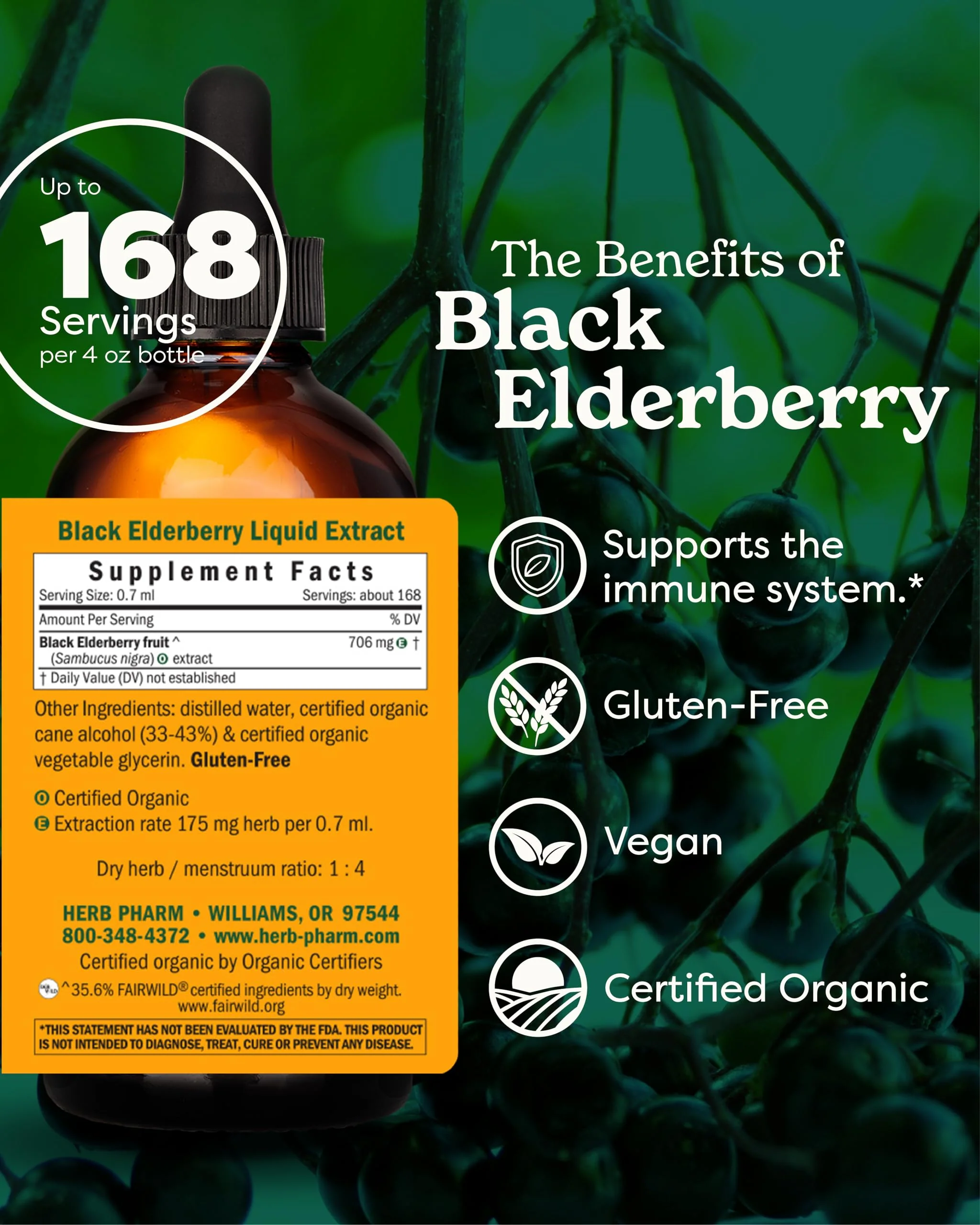 Herb Pharm Certified Organic Black Elderberry Liquid Extract Drops for Immune System Support, Organic Cane Alcohol, 4 Oz - Image 2