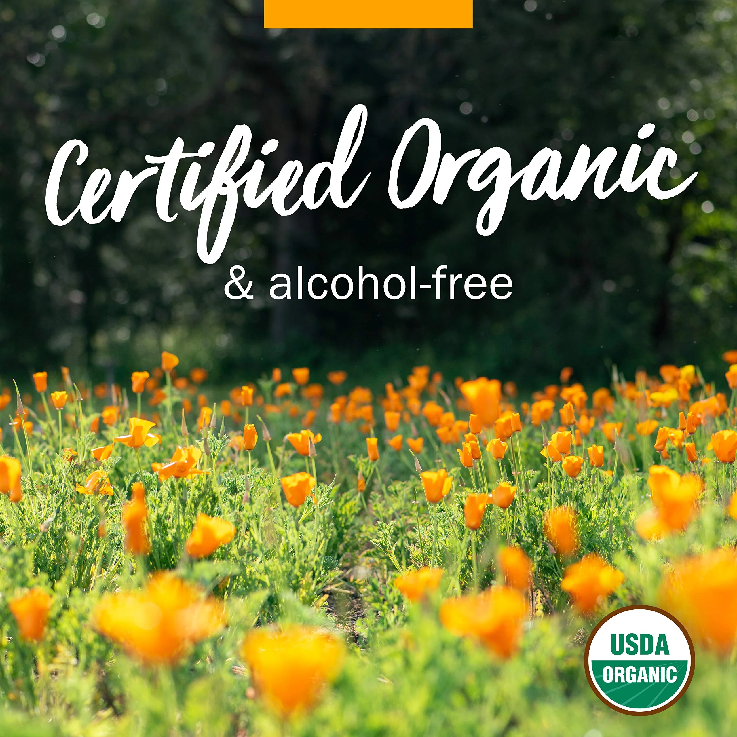 Herb Pharm Certified Organic Calendula Oil - 4 Ounce - Image 4