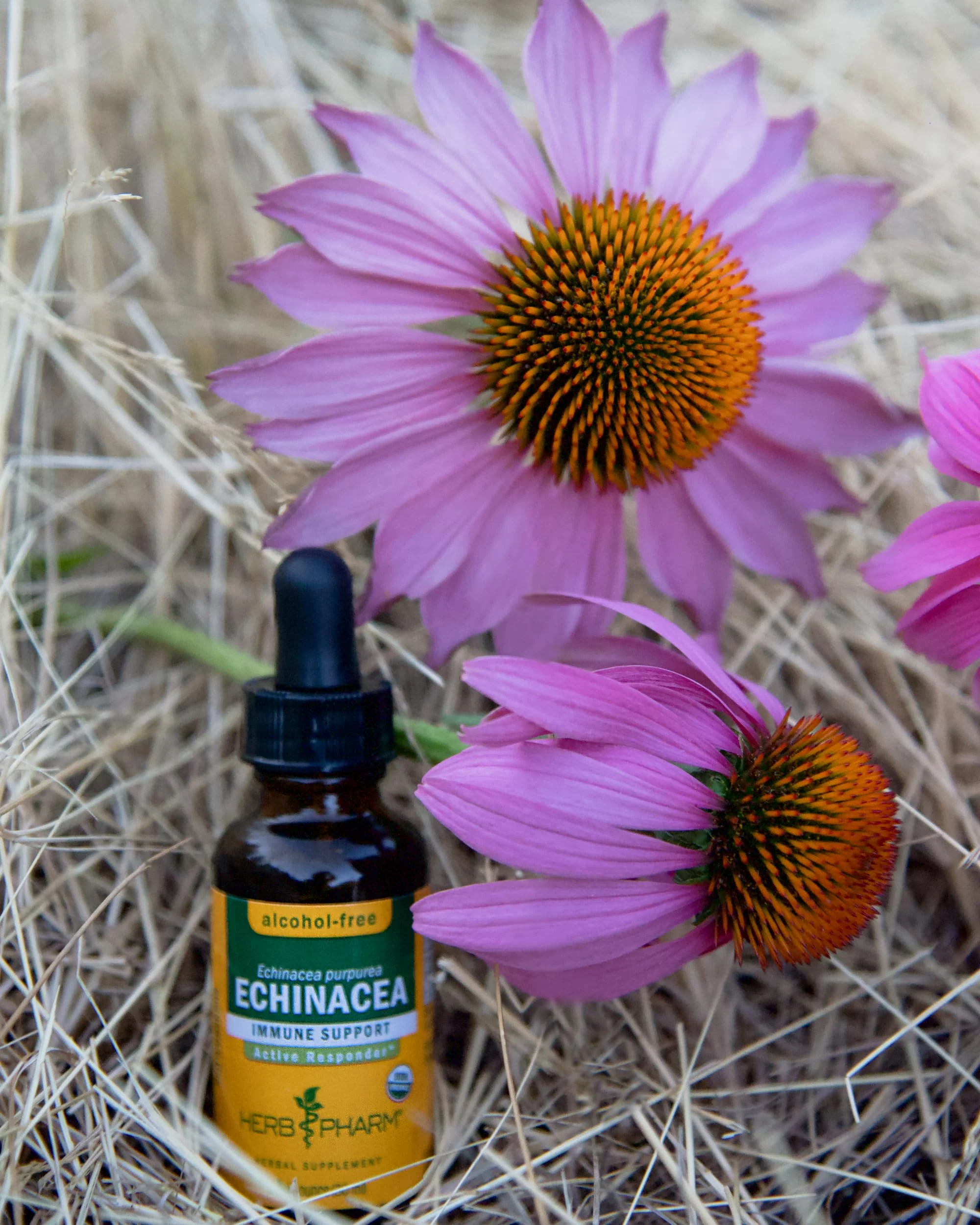 Herb Pharm Certified Organic Echinacea Root Liquid Extract for Immune System Support, Alcohol-Free Glycerite, 4 Ounce - Image 9