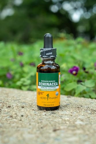 Herb Pharm Certified Organic Echinacea Root Liquid Extract for Immune System Support, Organic Cane Alcohol, 4 Ounce - Image 5