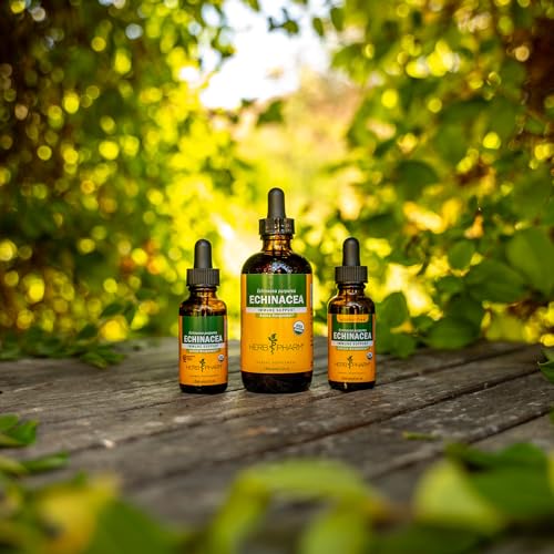 Herb Pharm Certified Organic Echinacea Root Liquid Extract for Immune System Support, Organic Cane Alcohol, 4 Ounce - Image 6