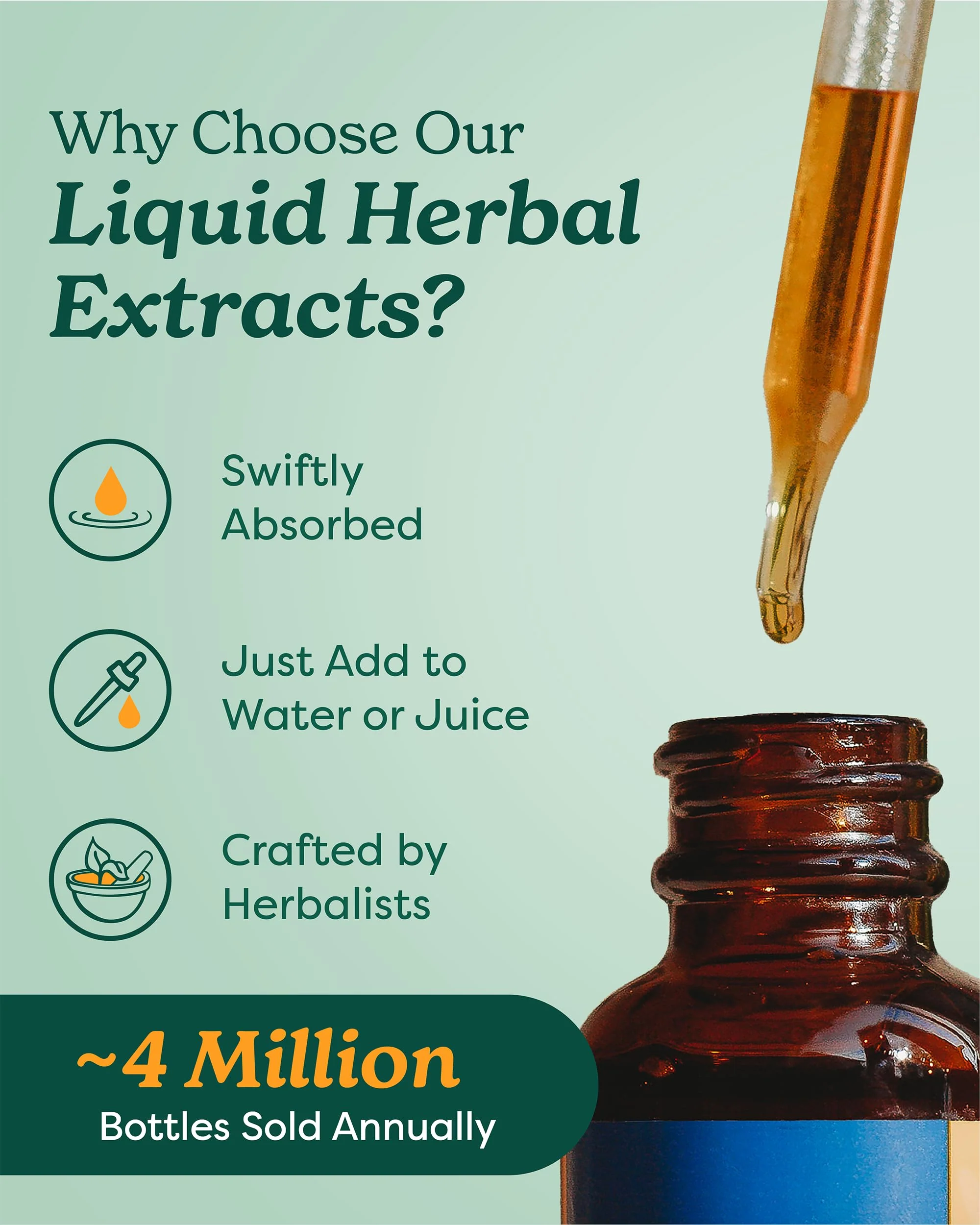 Herb Pharm Certified Organic Ginger Liquid Extract for Digestive Support - 1 Ounce - Image 10