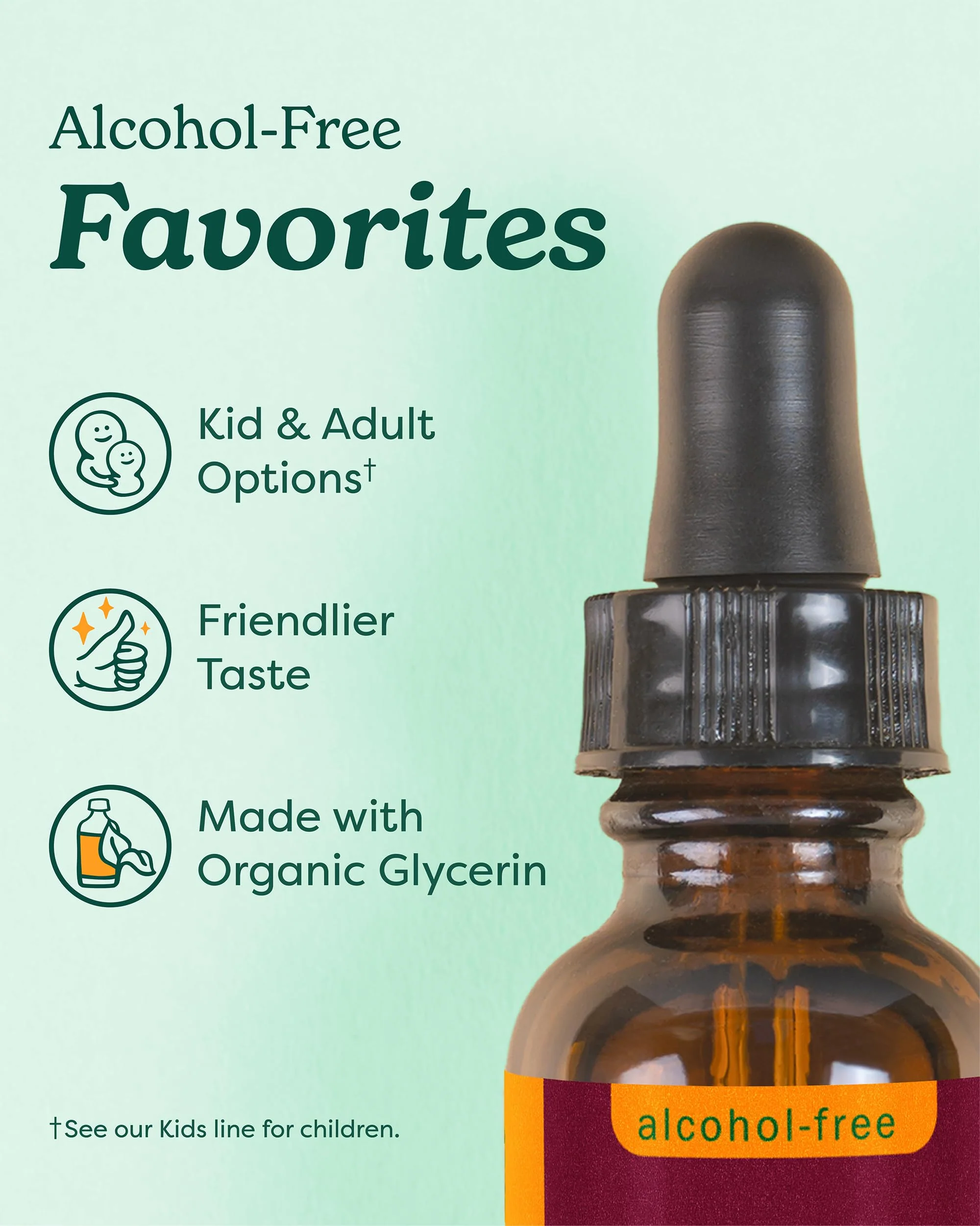 Herb Pharm Certified Organic Lemon Balm Liquid Extract for Calming Nervous System Support, Alcohol-Free Glycerite, 4 Ounce - Image 7