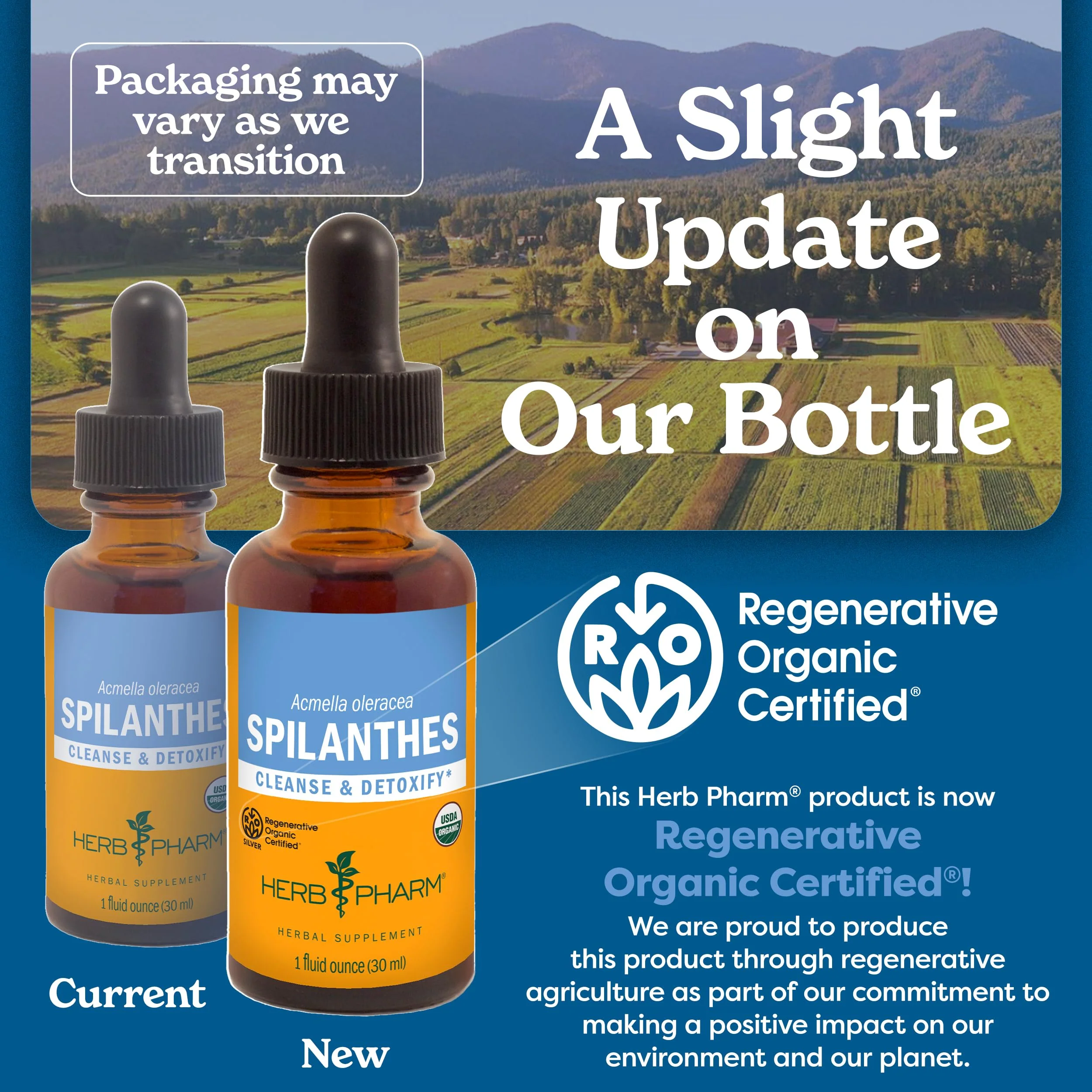Herb Pharm Certified Organic Spilanthes Liquid Extract for Cleansing and Detoxification - 1 Ounce - Image 7
