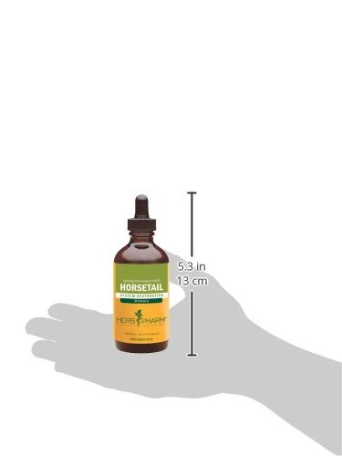 Herb Pharm Horsetail Liquid Extract for Urinary System Support - 4 Ounce - Image 2