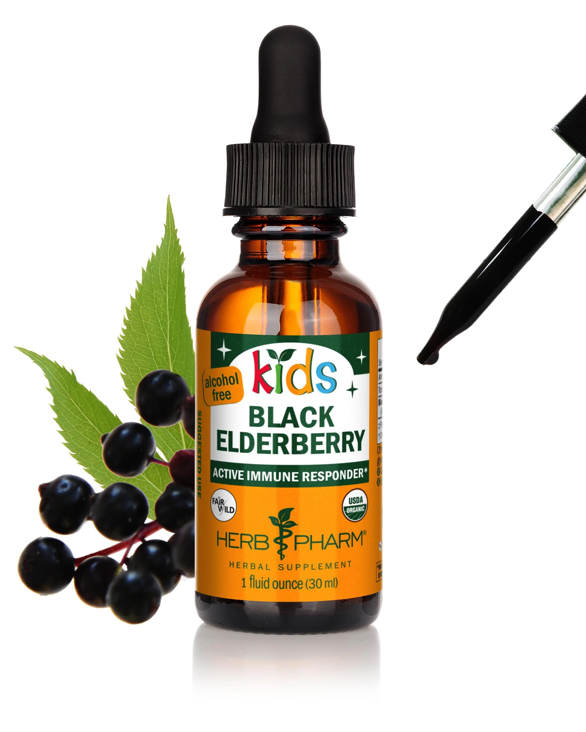 Herb Pharm Kids Certified-Organic Alcohol-Free Black Elderberry Glycerite Liquid Extract Drops, 1 Oz