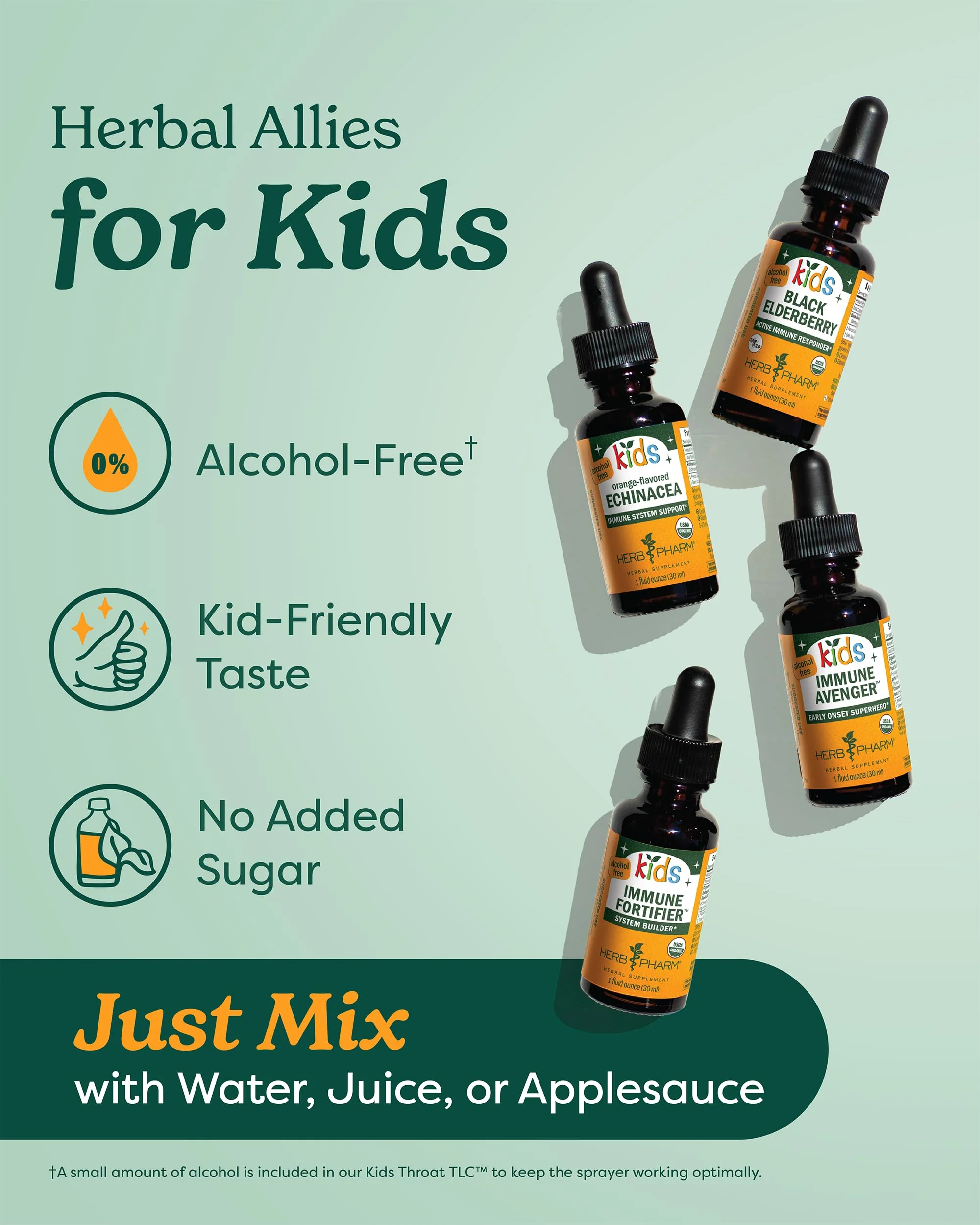 Herb Pharm Kids Mullein Garlic Ear Oil: Alcohol-Free Herbal Ally for Kids, Made with Certified Organic Mullein, Certified Organic Garlic, & USDA Organic Calendula, Topical Use Only, for Children, 1 oz - Image 3
