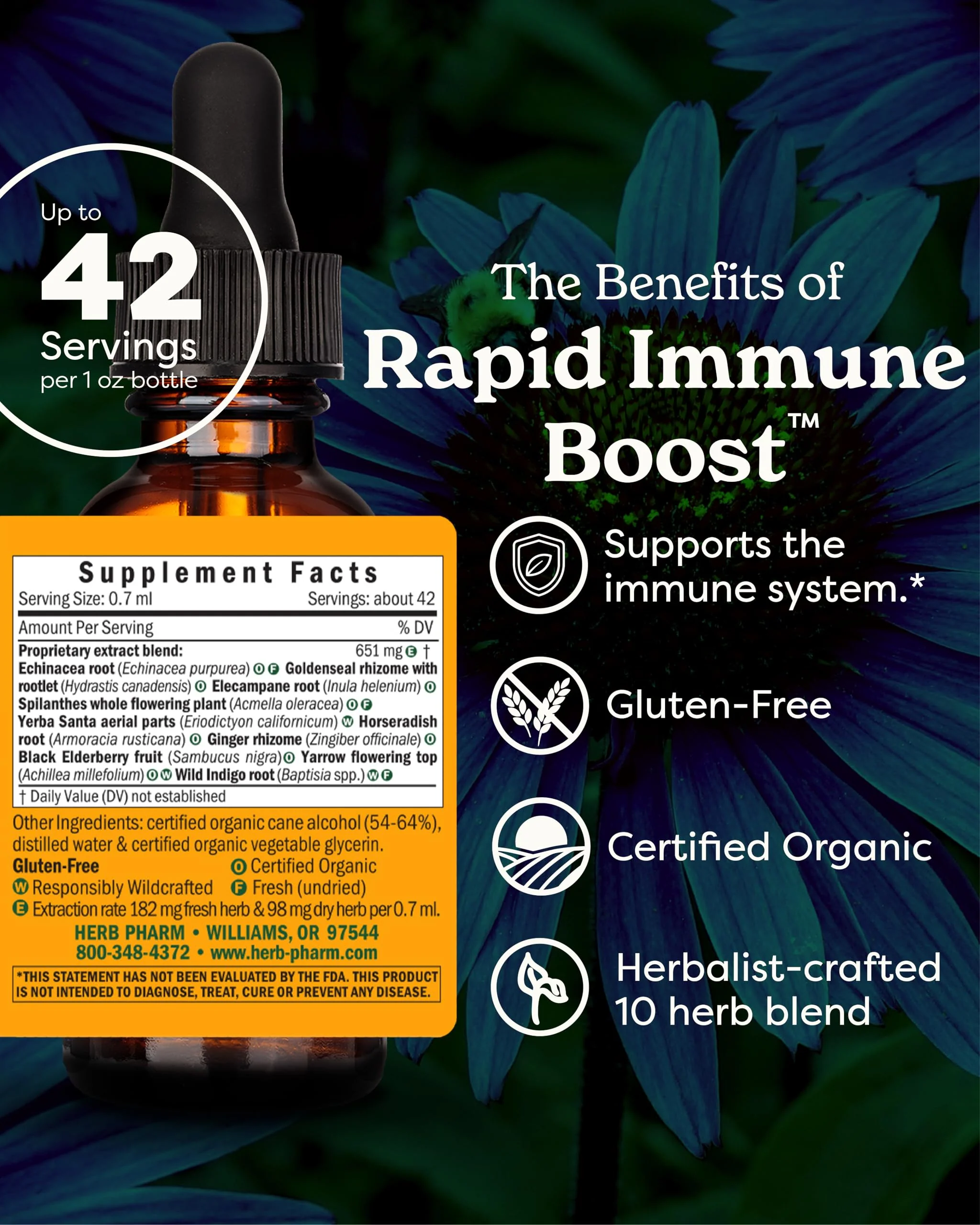 Herb Pharm Organic Rapid Immune Boost: Fast-Absorbing Tincture for Adults, Echinacea Tincture with Goldenseal, Ginger Extract & Elderberry, Immune Support Supplement & Wellness Aid, 1 Oz - Image 12