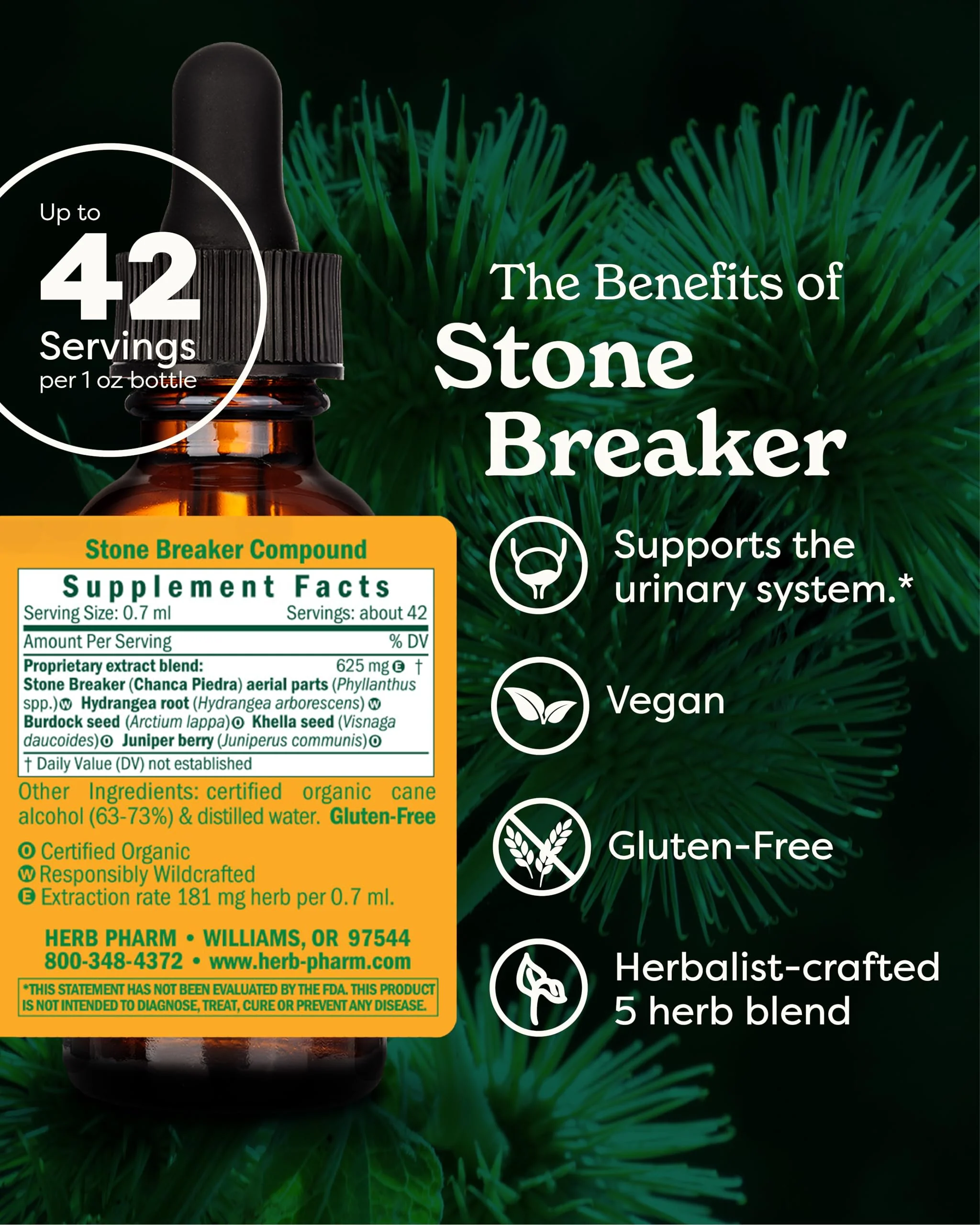 Herb Pharm Stone Breaker Chanca Piedra Liquid Extract: Supports the Urinary System | Fast-Absorbing & Sugar-Free Tincture with Hydrangea, Juniper, & Burdock | Up to 14 Day Supply, 1 oz - Image 2