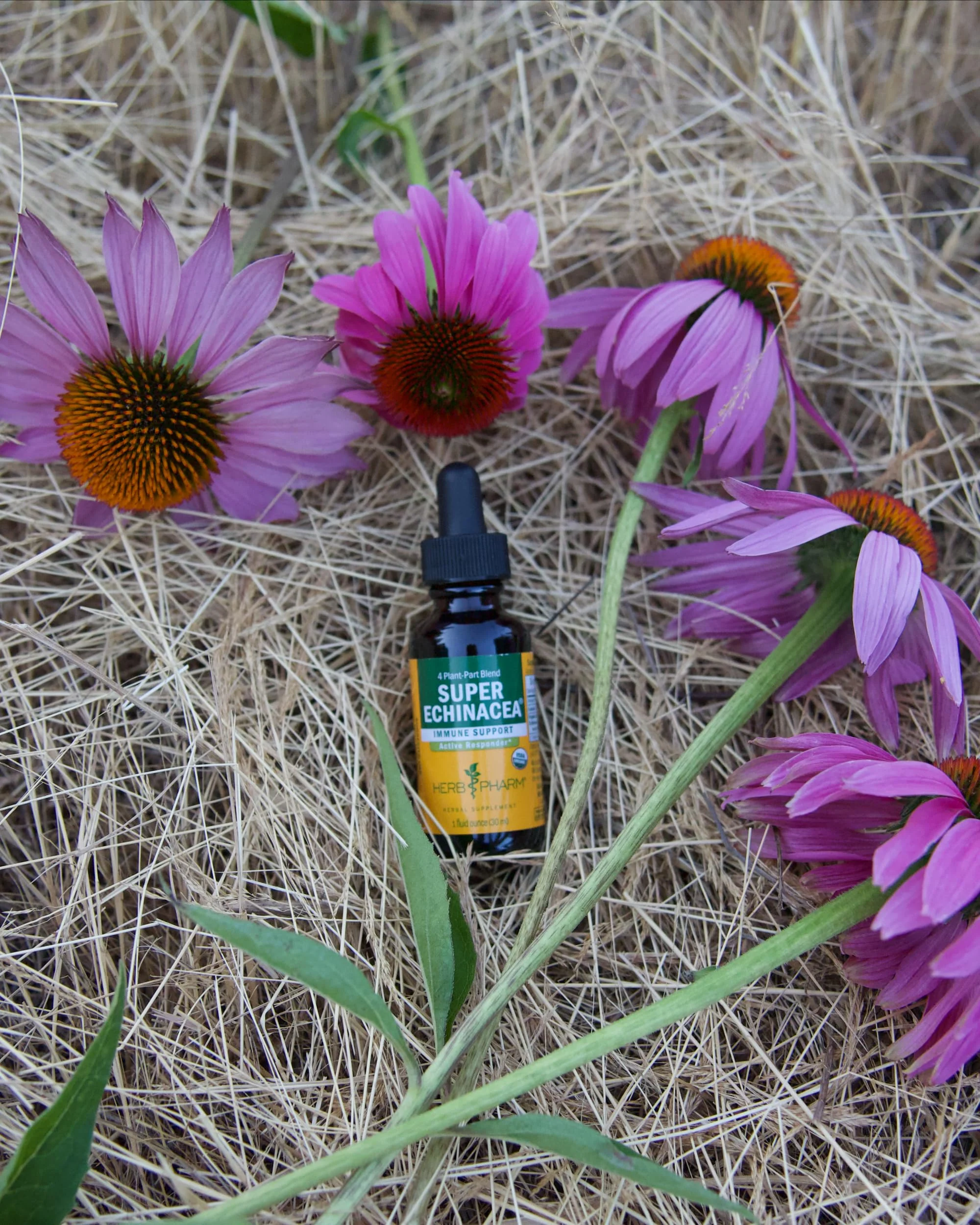 Herb Pharm, Super Echinacea, 4 Ounce - Image 9