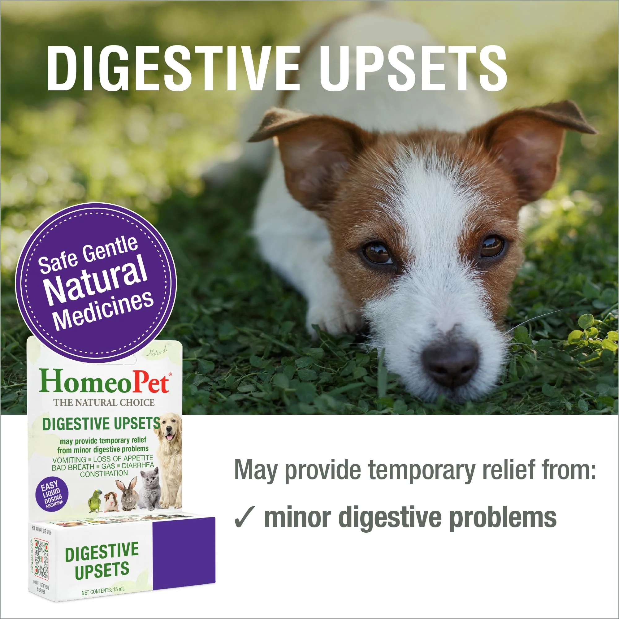 HomeoPet Digestive Upsets, Safe, Gentle, and Natural Cat and Dog Digestive Support, 15 Milliliters - Image 7