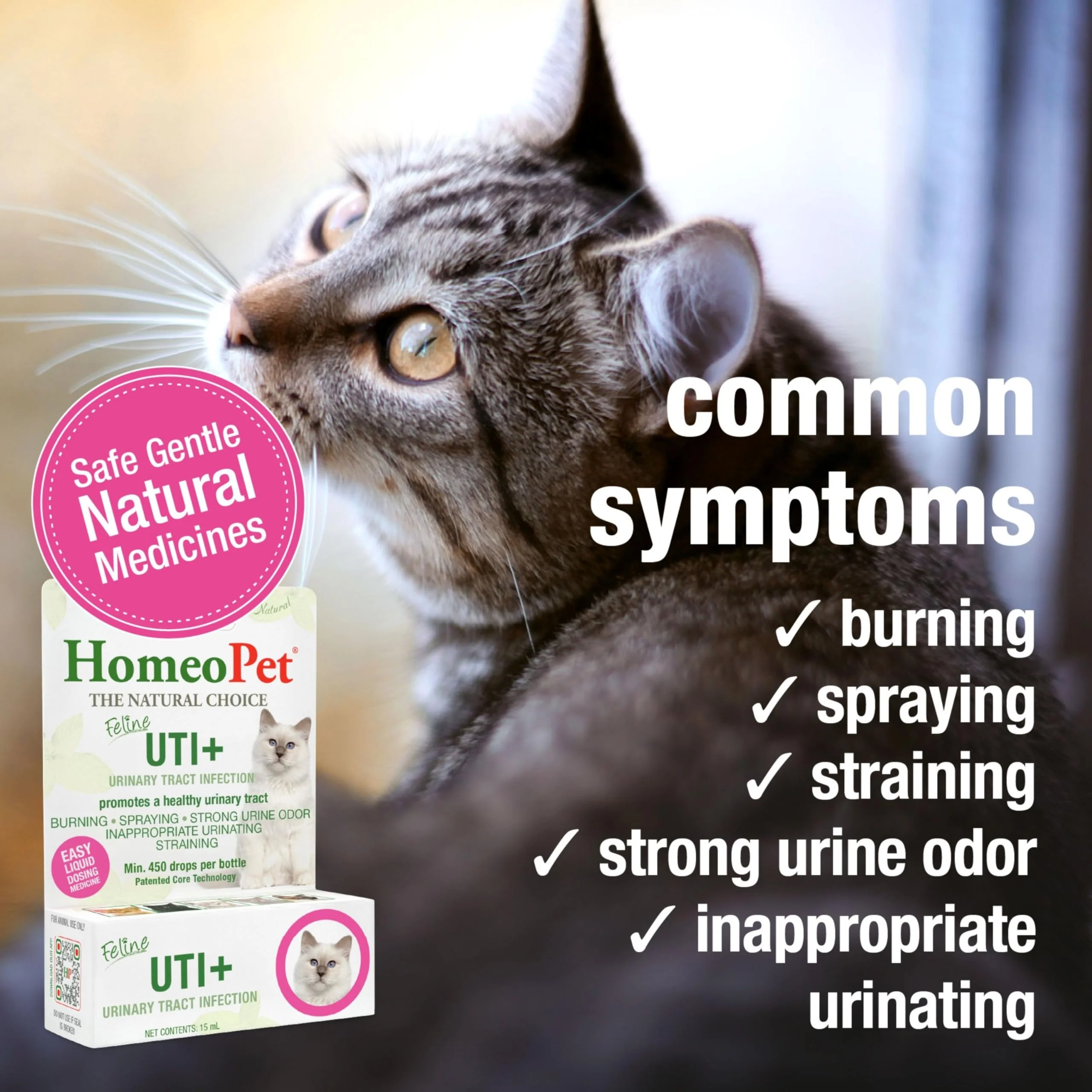 HomeoPet Feline UTI+, Safe and Natural Urinary Tract Supplement for Cats, Feline Urinary Tract Support, 15 Milliliters - Image 6