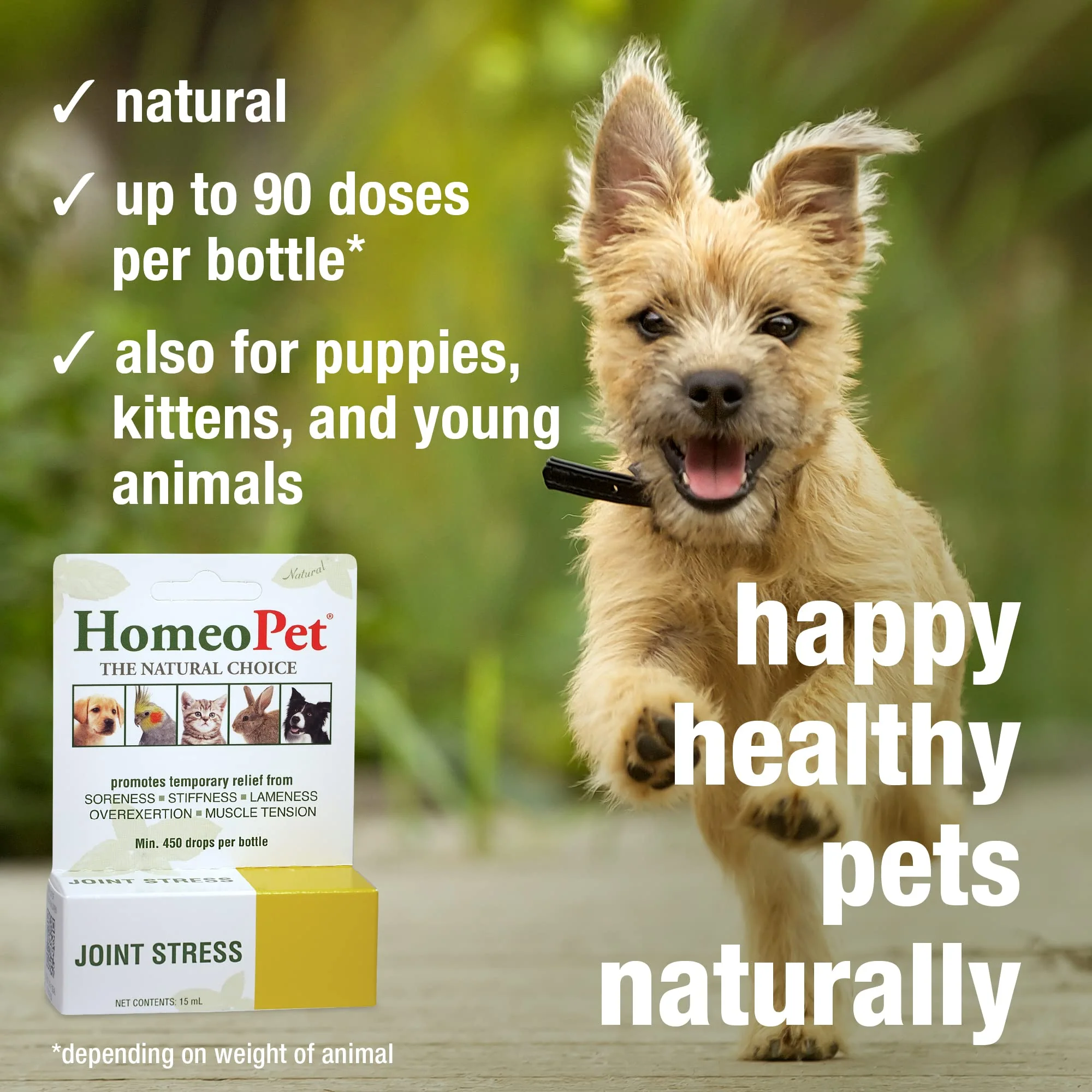 HomeoPet Joint Stress, Joint Support for Dogs and Cats, Liquid Pet Meds to Support Healthy Joint Movement, 15 Milliliters - Image 6