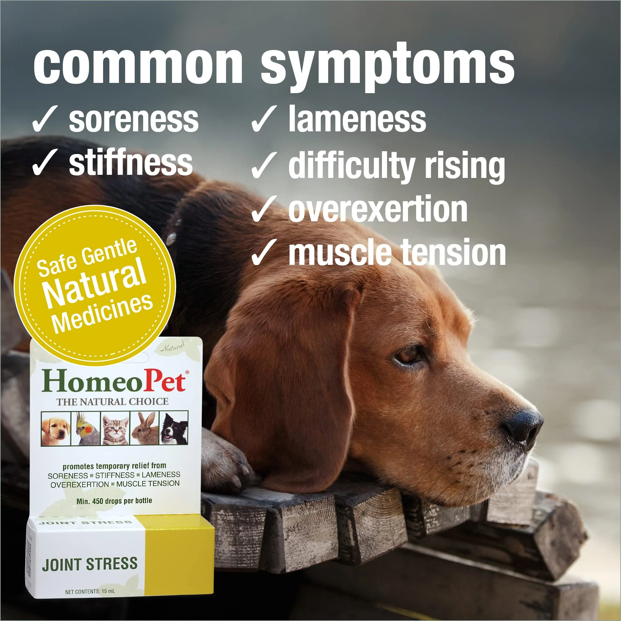 HomeoPet Joint Stress, Joint Support for Dogs and Cats, Liquid Pet Meds to Support Healthy Joint Movement, 15 Milliliters - Image 7