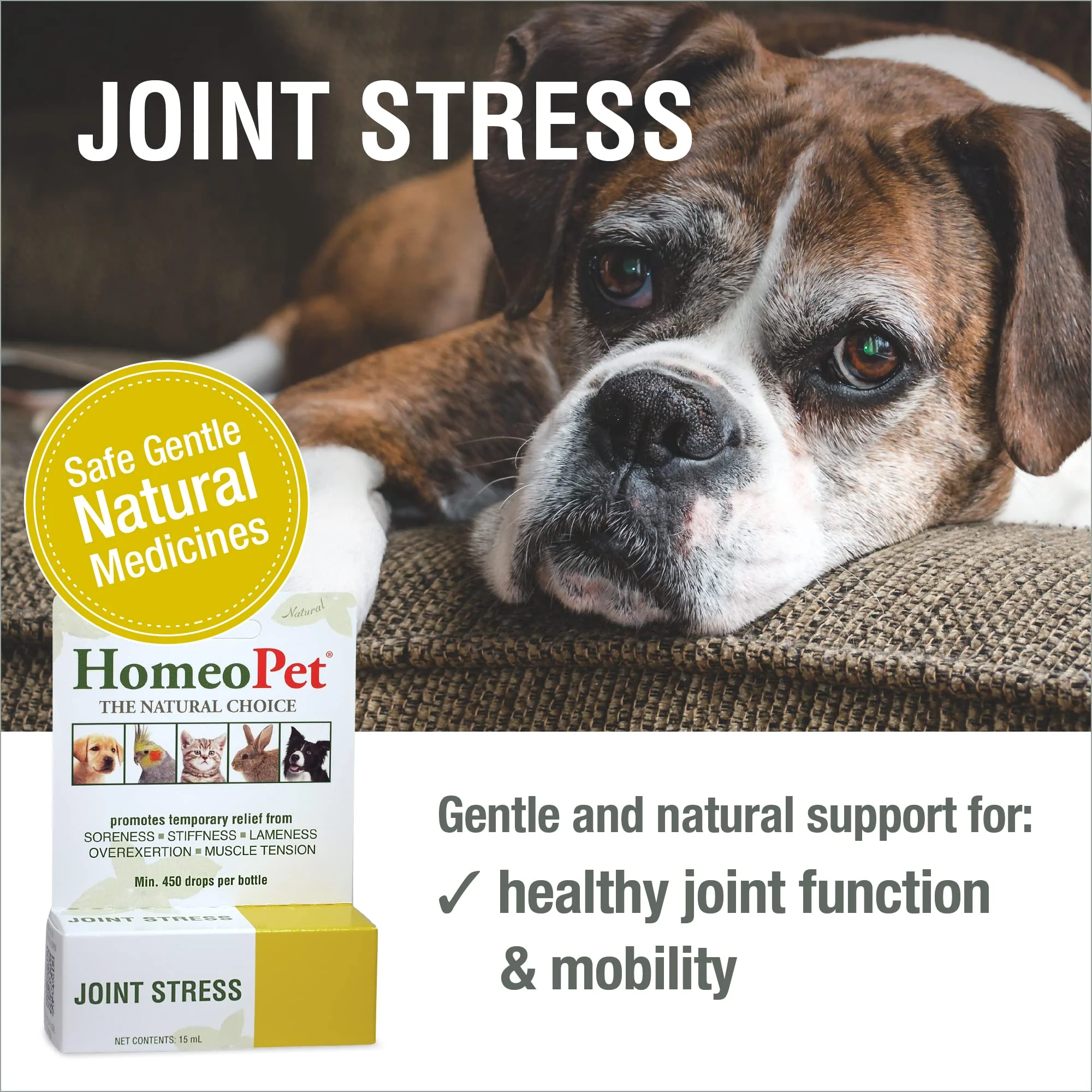 HomeoPet Joint Stress, Joint Support for Dogs and Cats, Liquid Pet Meds to Support Healthy Joint Movement, 15 Milliliters - Image 8