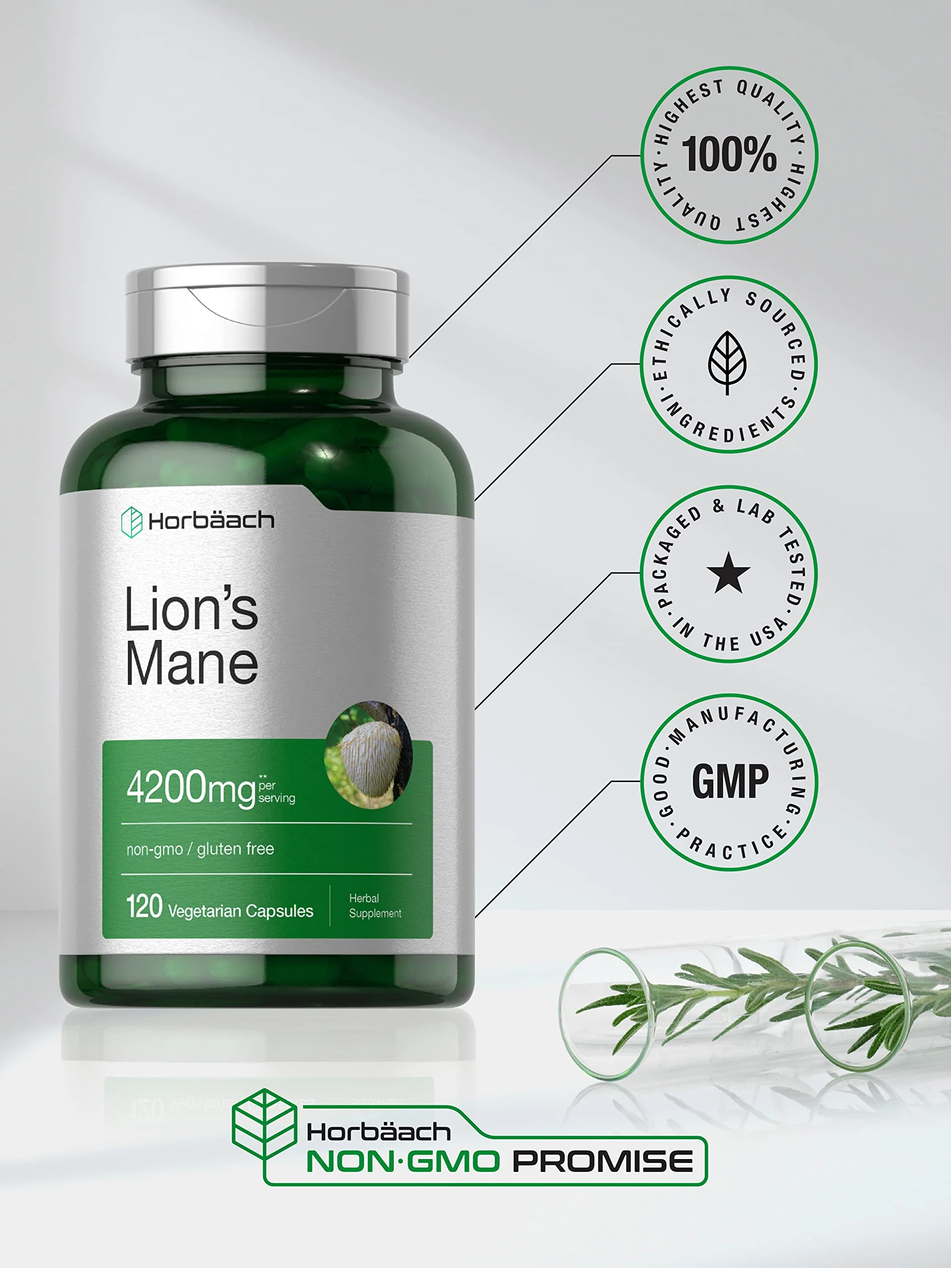 Horbäach Lions Mane Mushroom Extract | 120 Capsules | Vegetarian, Non-GMO, Gluten Free Supplement - Image 4