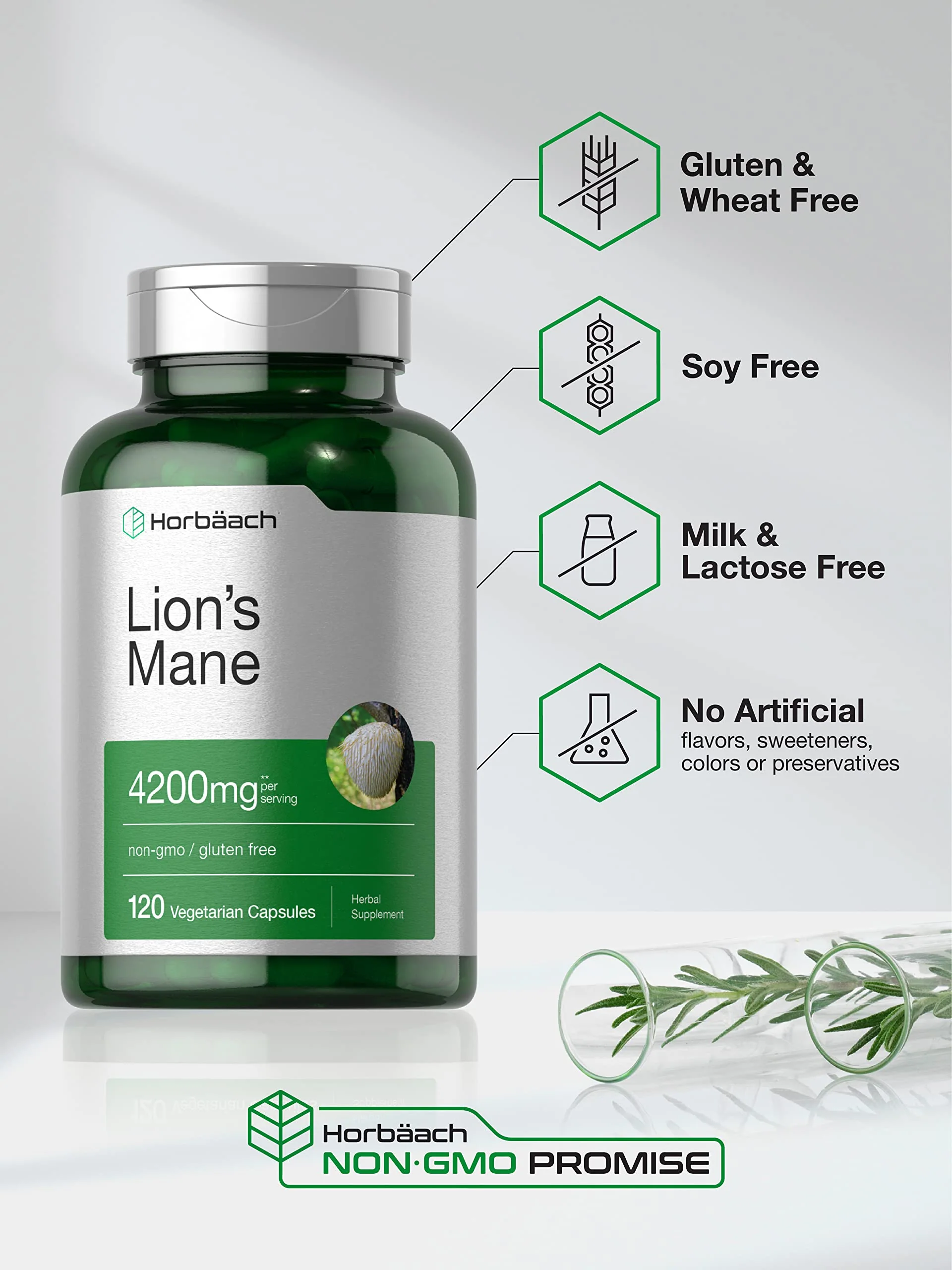 Horbäach Lions Mane Mushroom Extract | 120 Capsules | Vegetarian, Non-GMO, Gluten Free Supplement - Image 5