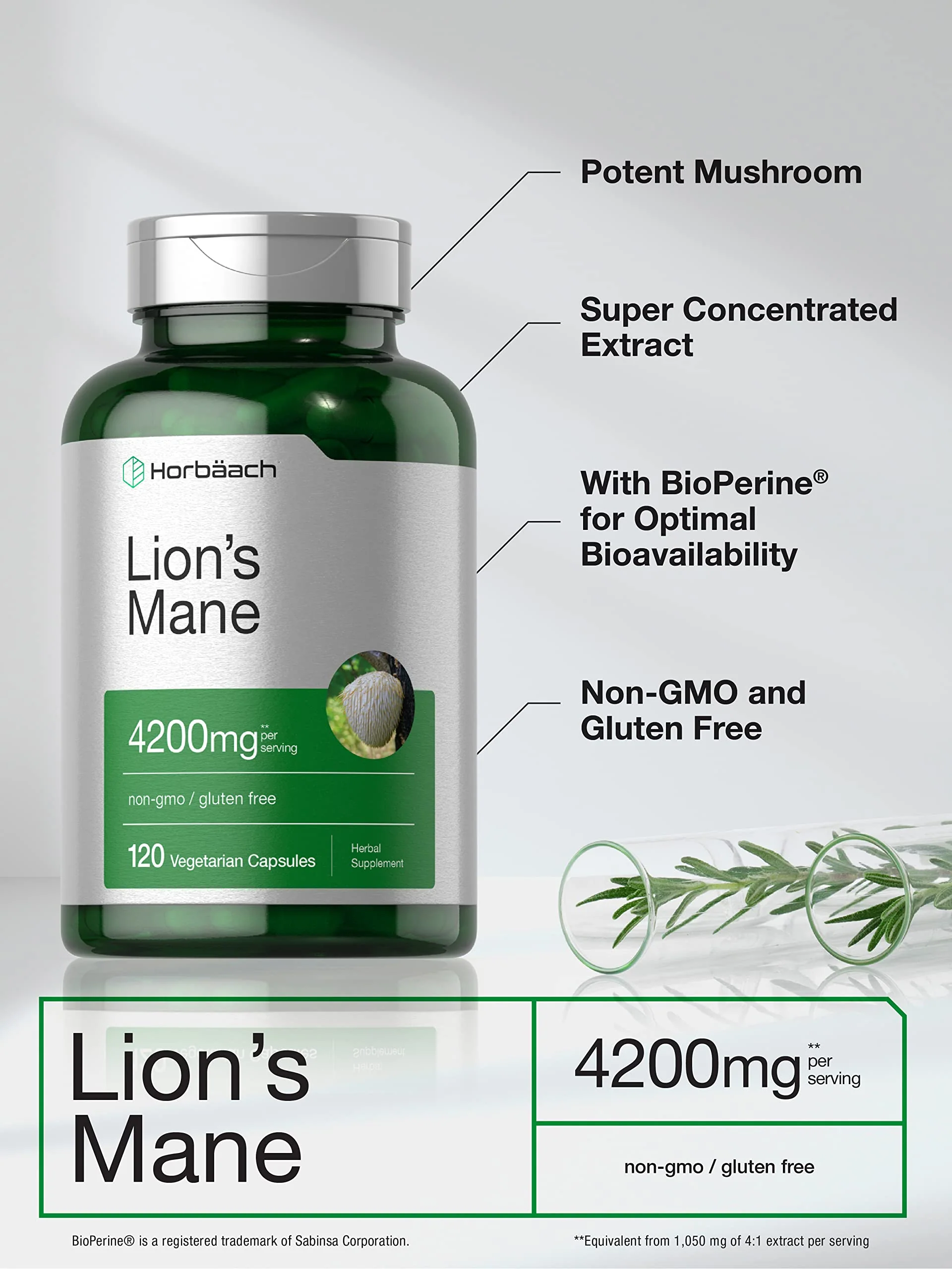 Horbäach Lions Mane Mushroom Extract | 120 Capsules | Vegetarian, Non-GMO, Gluten Free Supplement - Image 6