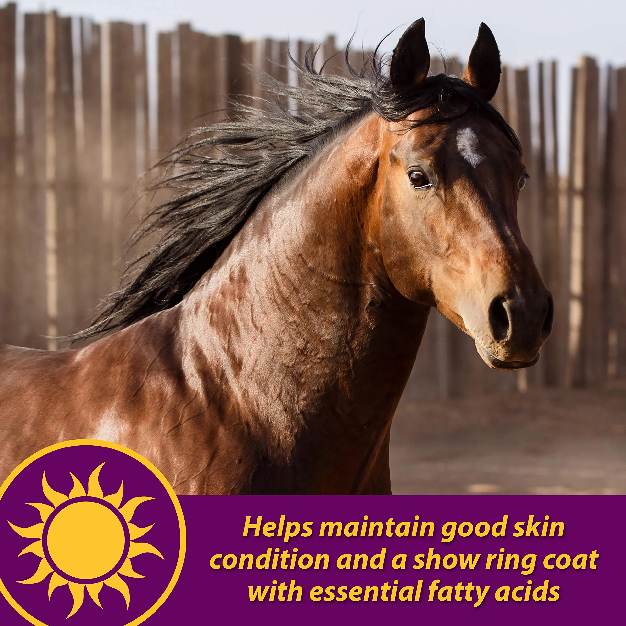 Horse Health Joint Combo Hoof & Coat, Convenient 3-in-1 Horse Joint Supplement Provides Complete Joint, Hoof and Coat Care, 3.75 lbs., 30 Day Supply - Image 5