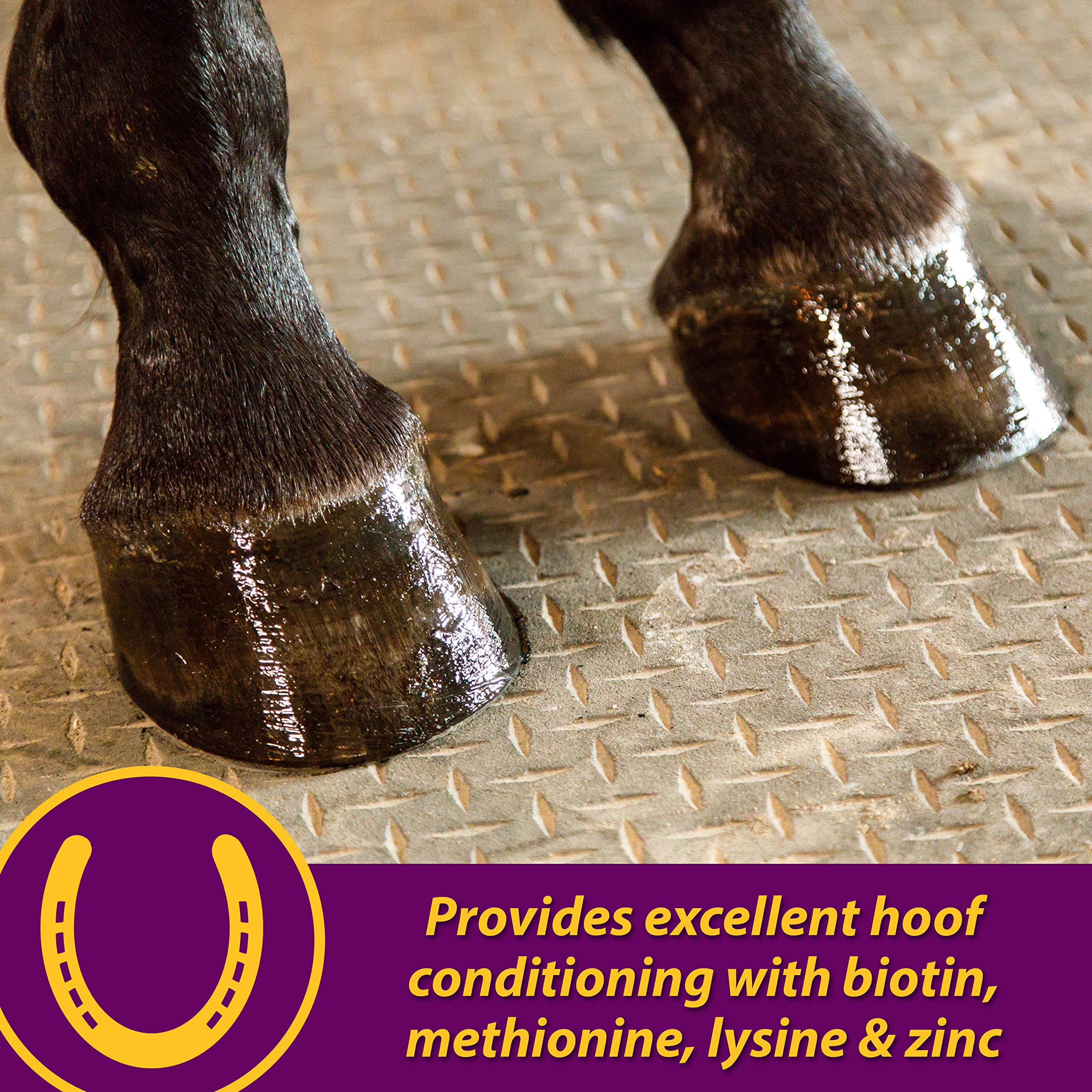 Horse Health Joint Combo Hoof & Coat, Convenient 3-in-1 Horse Joint Supplement Provides Complete Joint, Hoof and Coat Care, 3.75 lbs., 30 Day Supply - Image 7