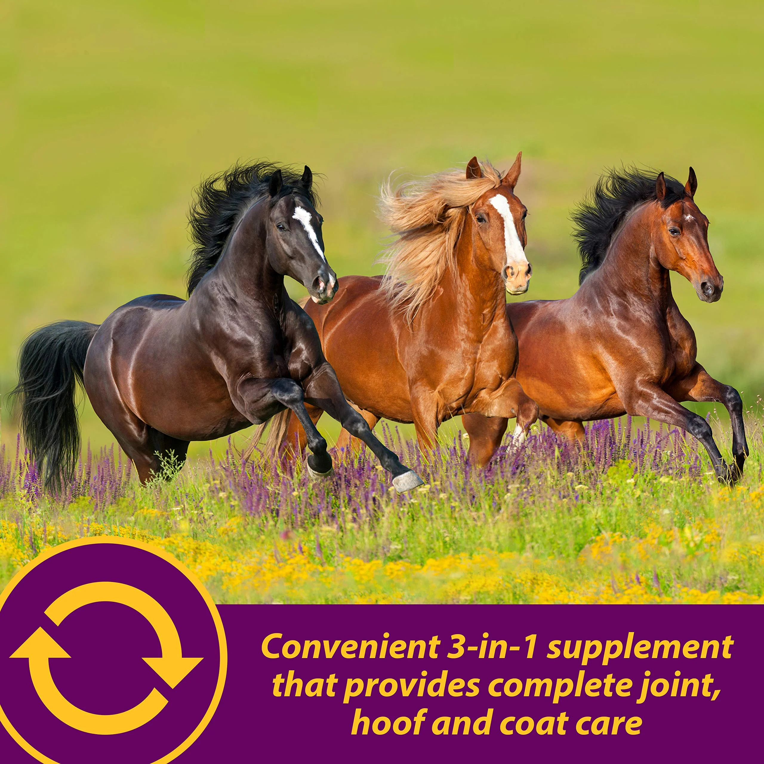 Horse Health Joint Combo Hoof & Coat, Convenient 3-in-1 Horse Joint Supplement Provides Complete Joint, Hoof and Coat Care, 3.75 lbs., 30 Day Supply - Image 9