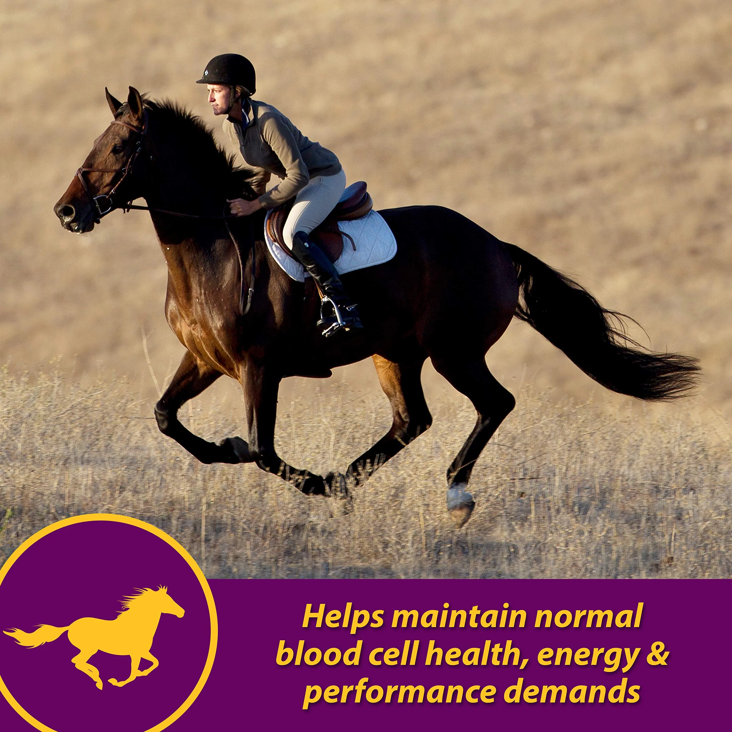 Horse Health Red Cell, Liquid Vitamin-Iron-Mineral Supplement for Horses, Helps Fill Important Nutritional Gaps in Horse's Diet, 1 Qt., 32 Oz., 16-Day Supply - Image 10