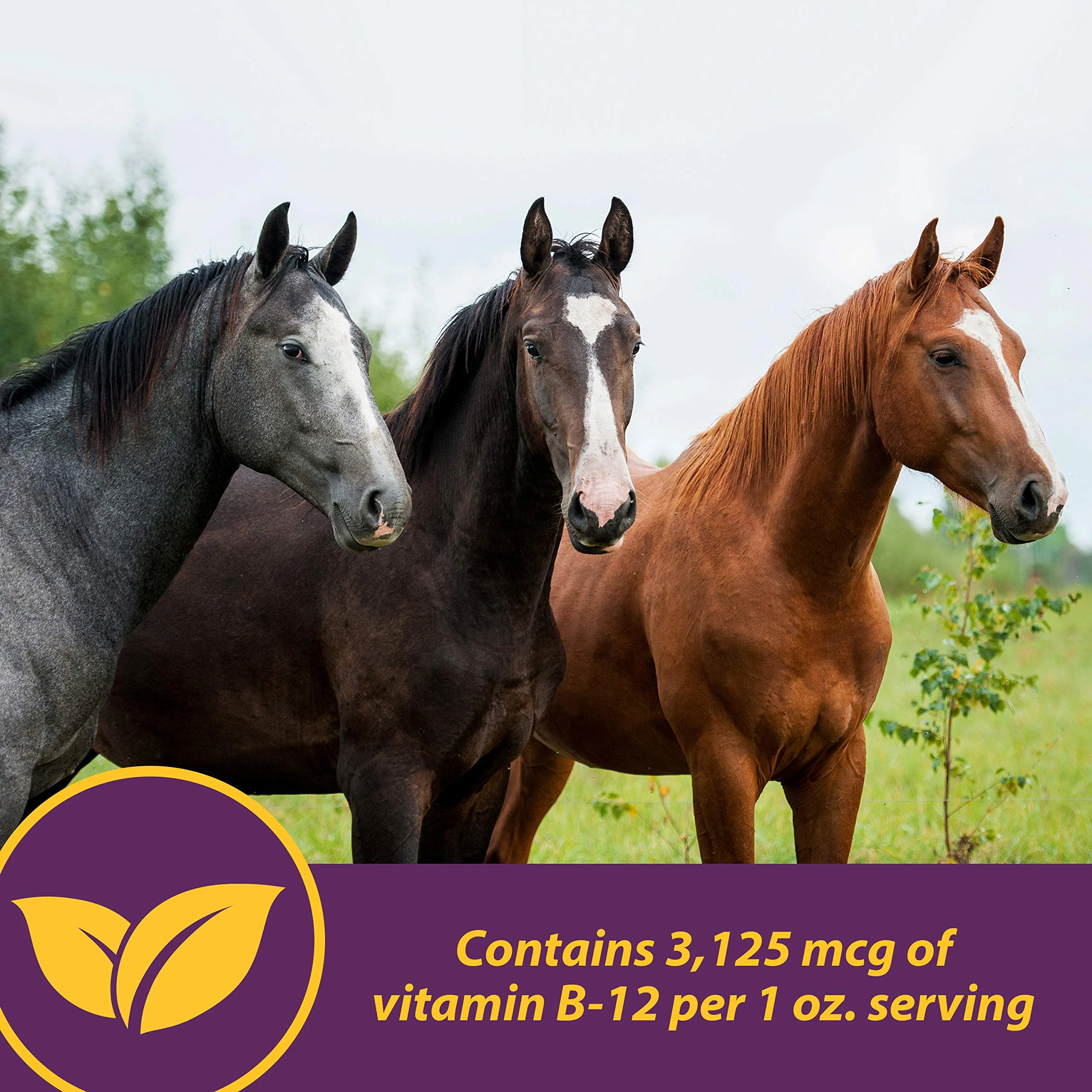 Horse Health Vita B-12 Crumbles Supplement for Horses, Supports red Blood Cell Production for Peak Performance, 3 pounds, 48 Day Supply - Image 5