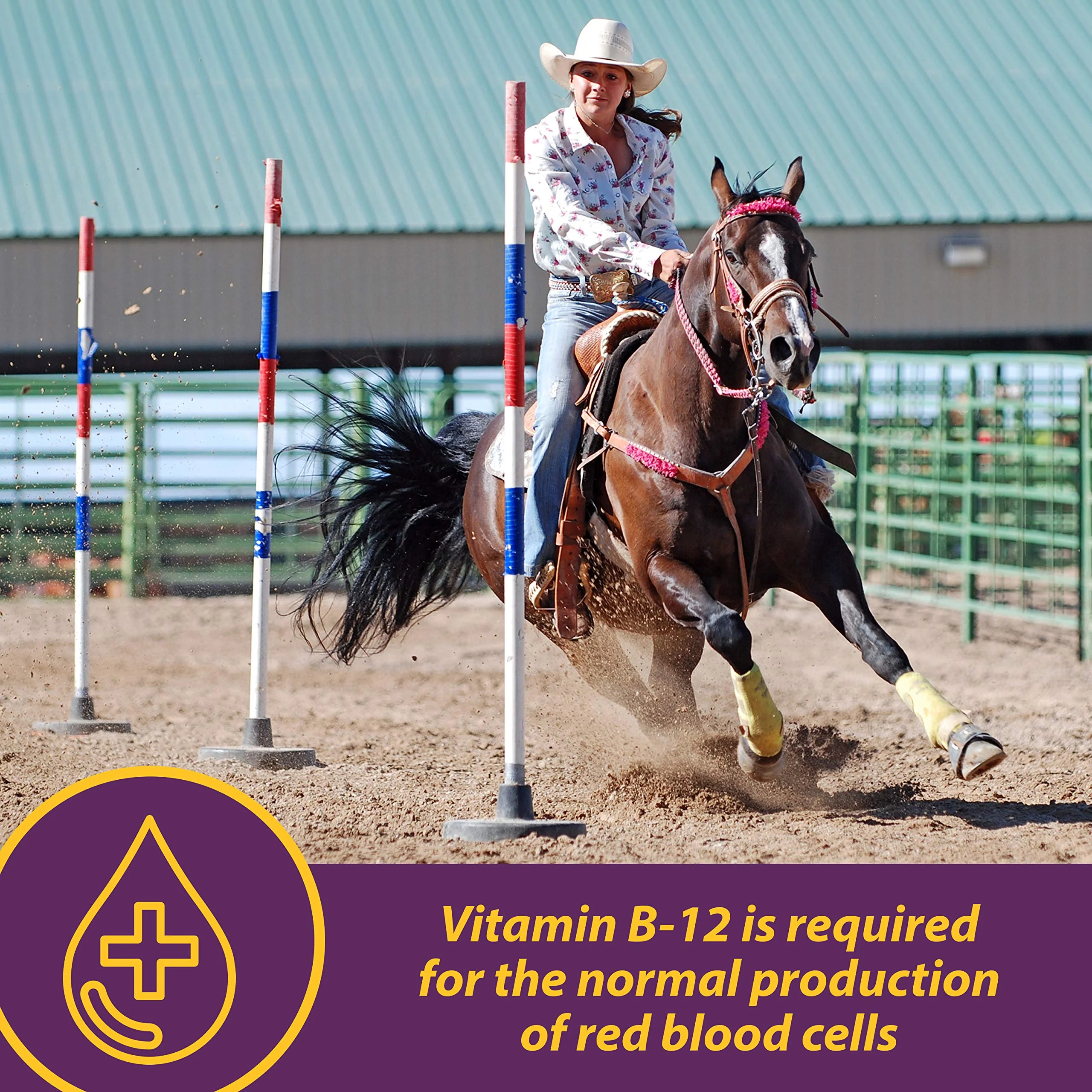 Horse Health Vita B-12 Crumbles Supplement for Horses, Supports red Blood Cell Production for Peak Performance, 3 pounds, 48 Day Supply - Image 6