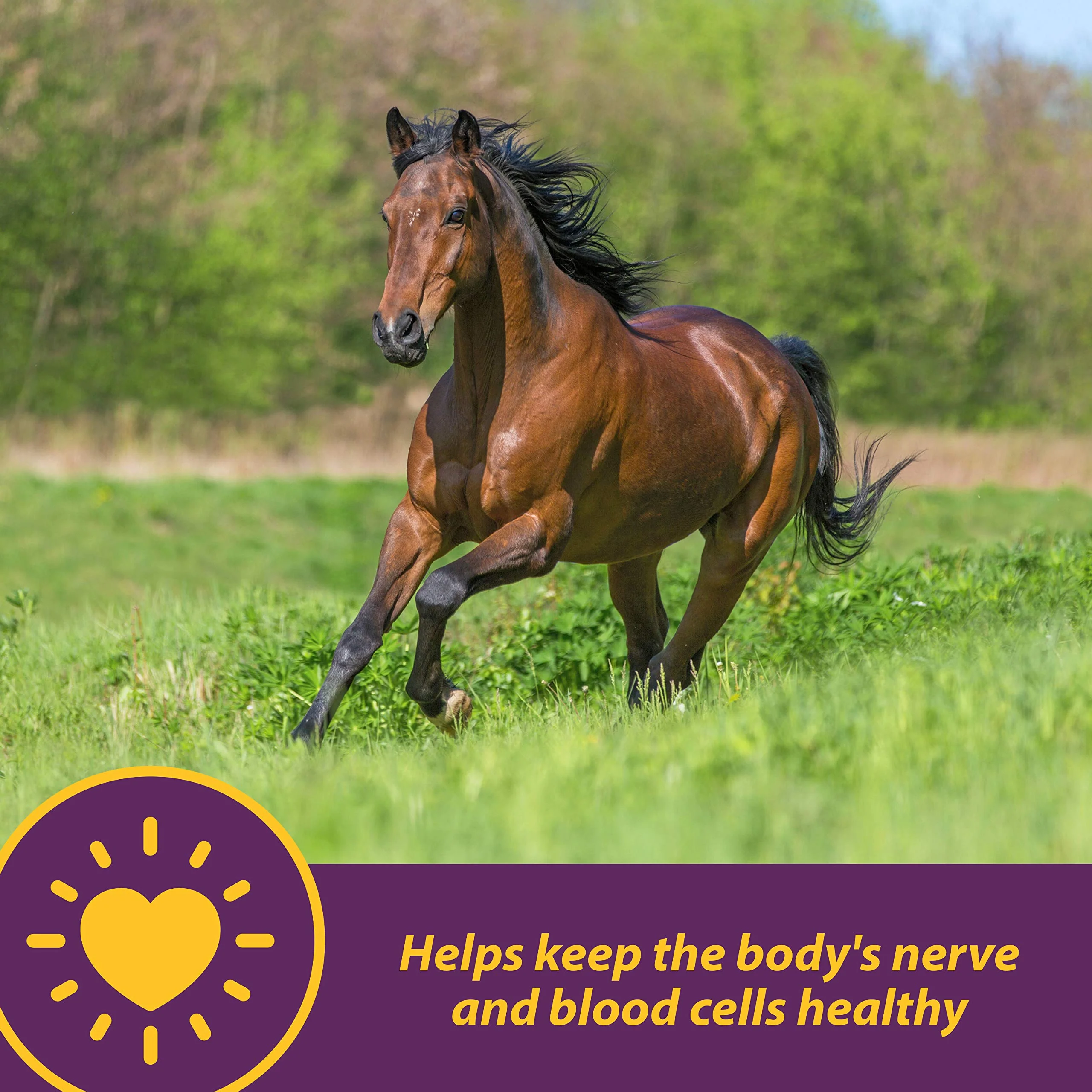 Horse Health Vita B-12 Crumbles Supplement for Horses, Supports red Blood Cell Production for Peak Performance, 3 pounds, 48 Day Supply - Image 7