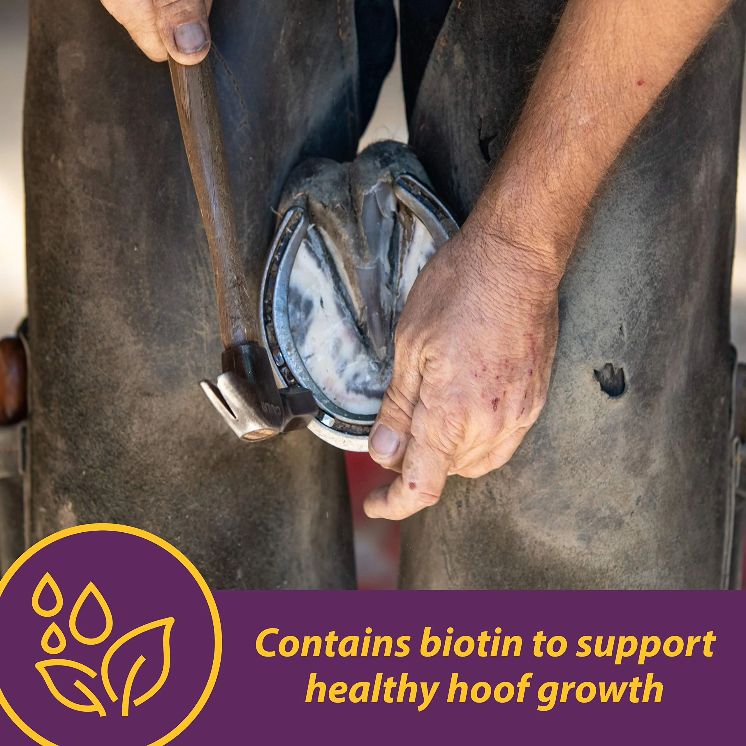 Horse Health Vita Biotin Crumbles Horse Hoof Supplement, Biotin Supplement Supports Healthy Hoof Growth, Strong Walls, Prevents Cracks & Chipping, 3 lbs, 48-Day Supply - Image 6