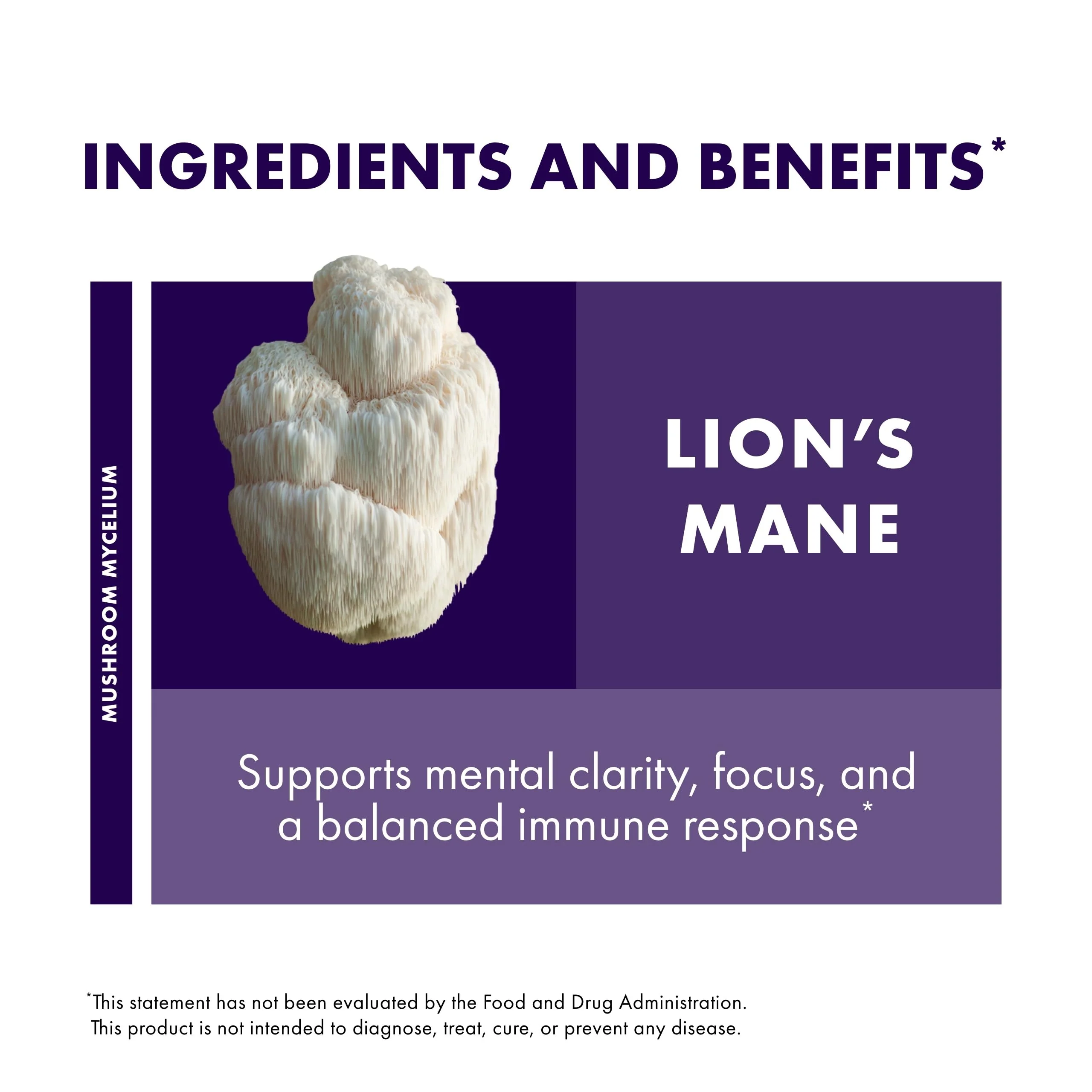 Host Defense Mushrooms Lion's Mane - Supplement Capsules for Brain Health Support - Mushroom Support for Focus & Memory Function - Immune & Nervous System Supplement - 120 Capsules - Image 3