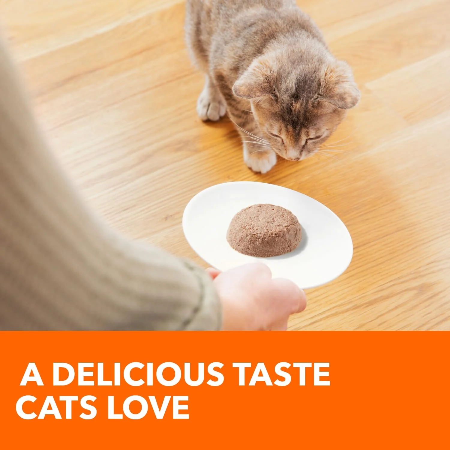 IAMS Perfect Portions Healthy Kitten Grain Free Wet Cat Food, Wet Cat Food Pate Recipe, Chicken Recipe, 2.6 oz. (24 Twin Packs) - Image 8