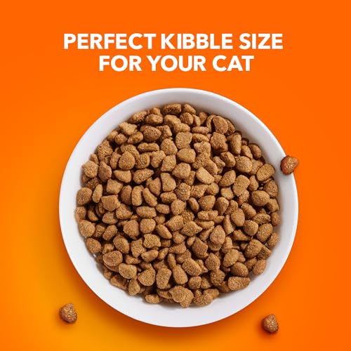 IAMS Proactive Health Dry Cat Food Hairball Care, Adult Cat Food, with Real Chicken and Salmon, 7 lb. Bag - Image 4