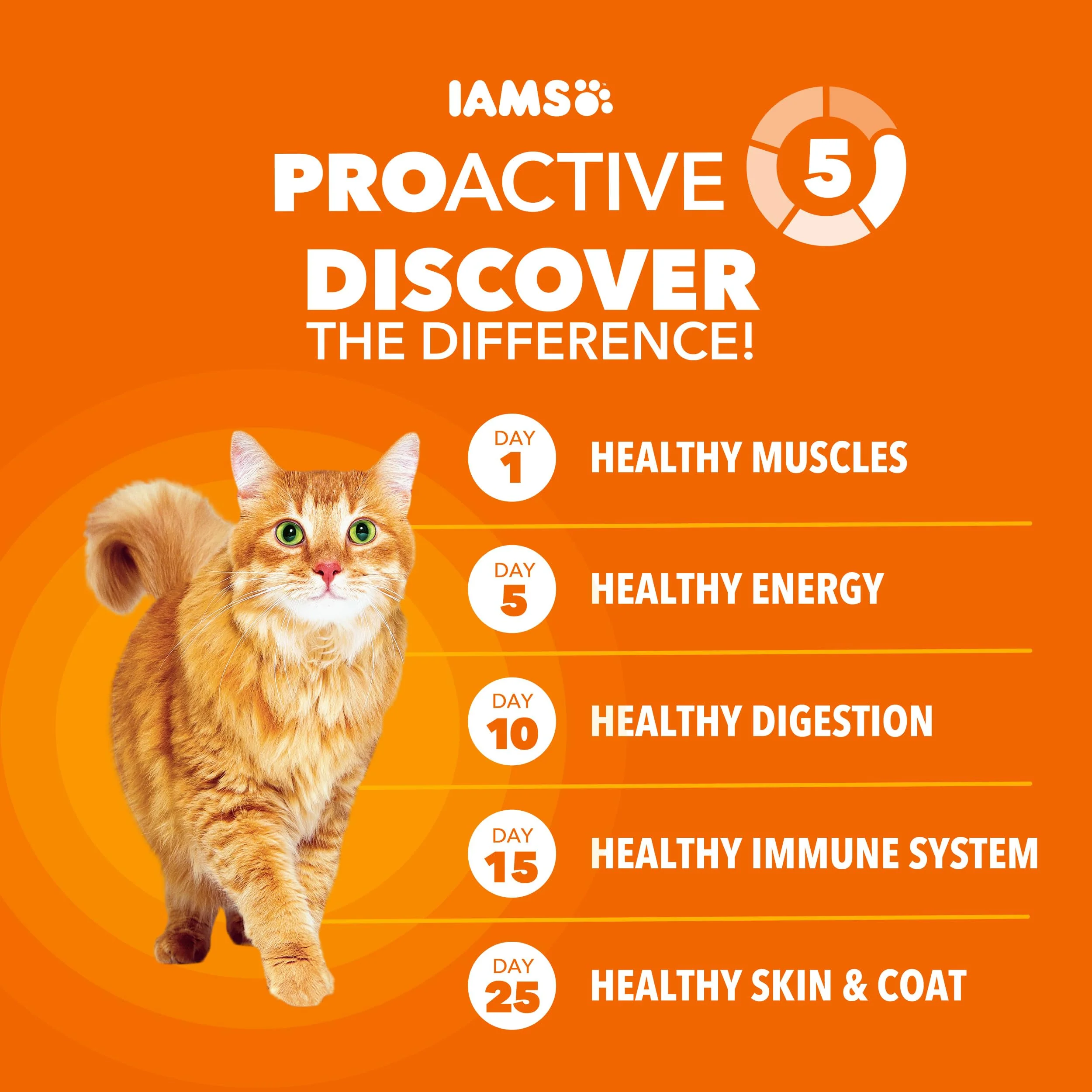 IAMS Proactive Health Dry Cat Food, Healthy Cat Food Dry Recipe for Adults, Salmon, 7 lb. Bag - Image 8