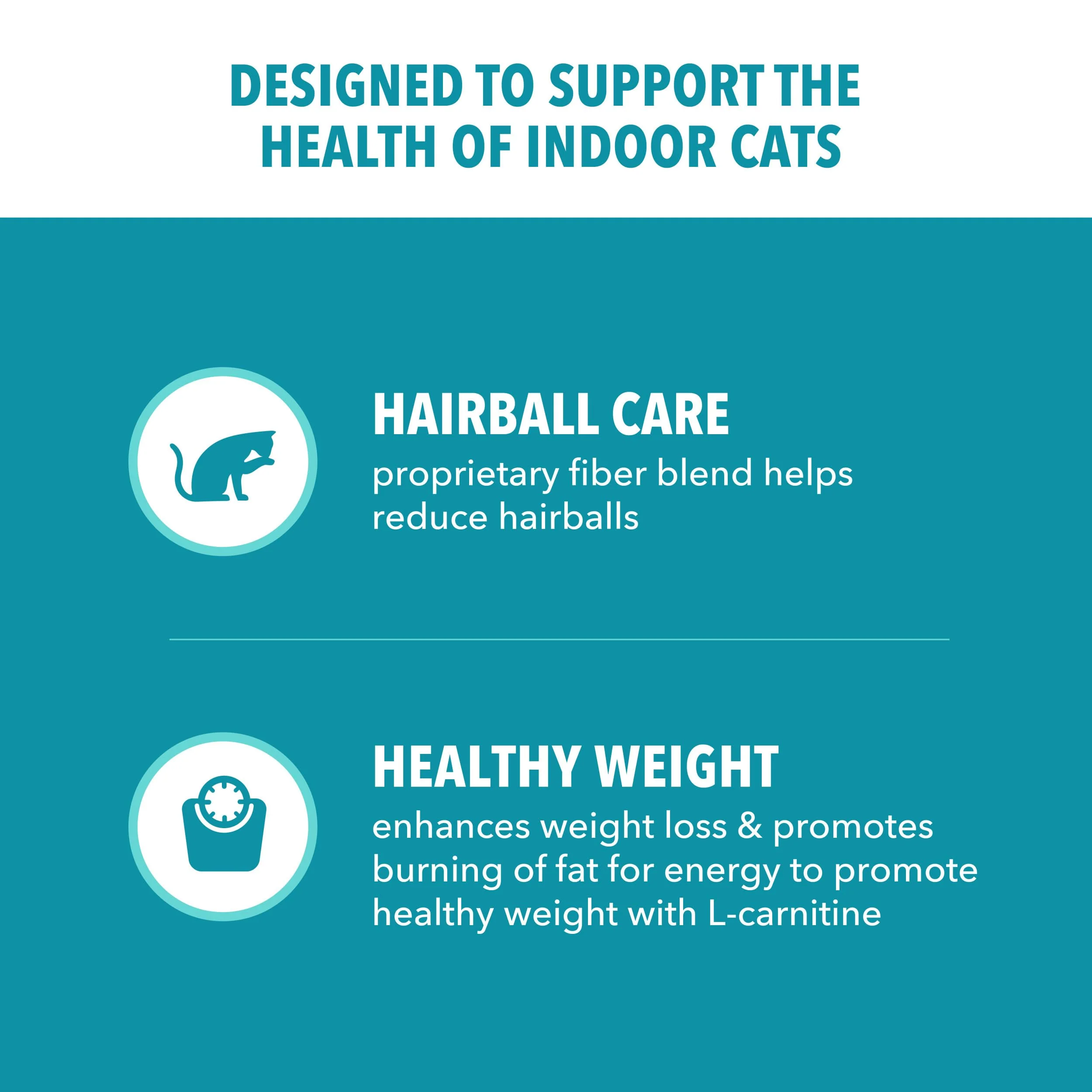 IAMS Proactive Health Dry Cat Food, Indoor Weight and Hairball Care Cat Food Dry Recipe, with Salmon, 3.5 lb. Bag - Image 8